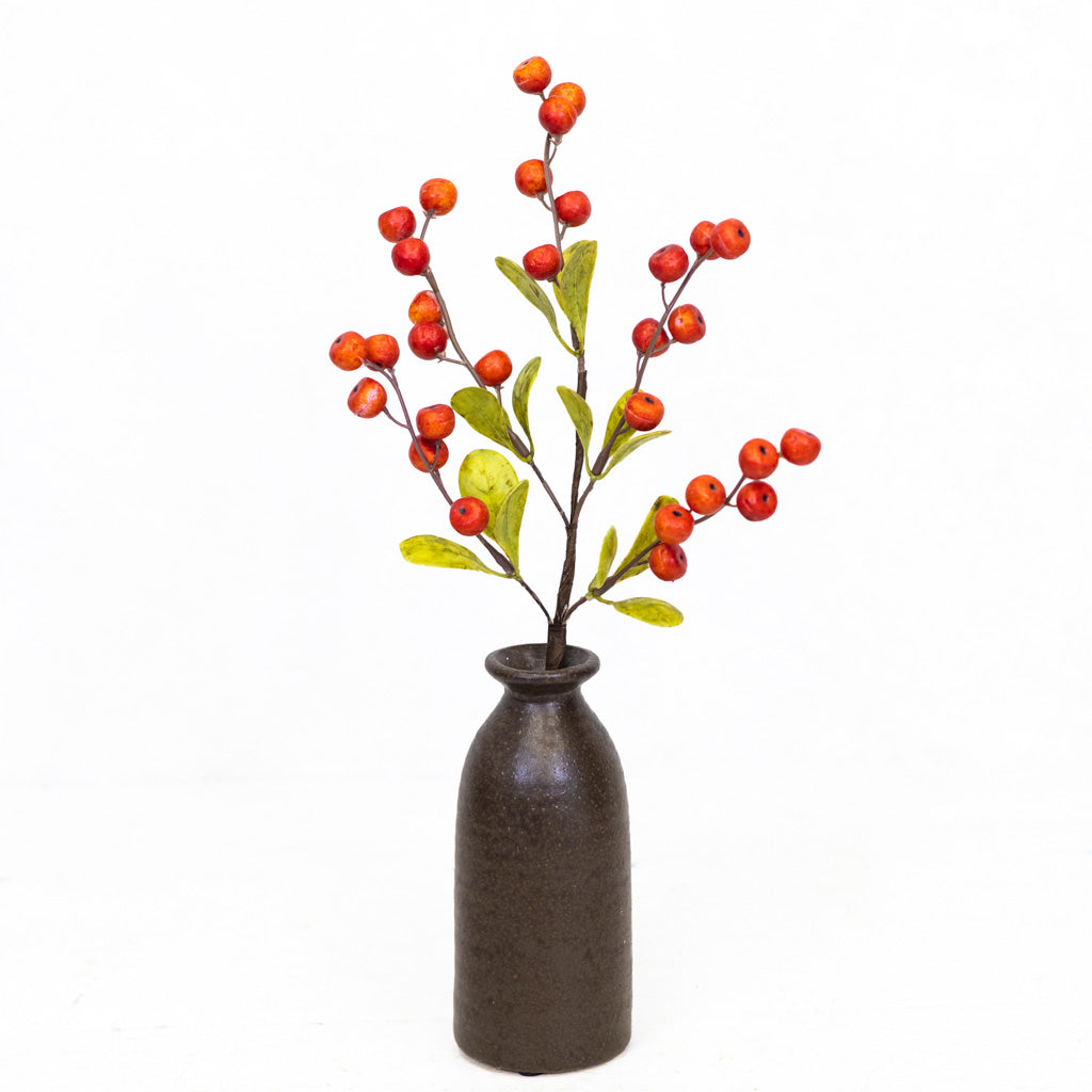 Hawthorn Orange Berry Stem Weather Resistant