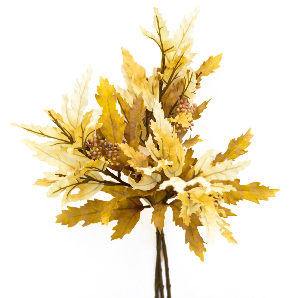 Beige Maple Leaf Bundle