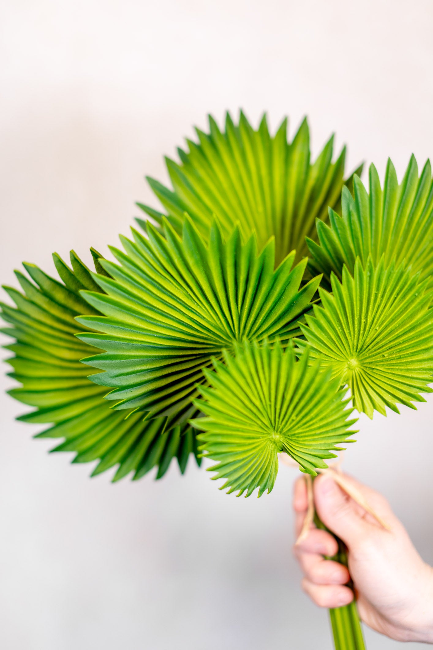 Real Touch Fan Palm Leaf Bundle