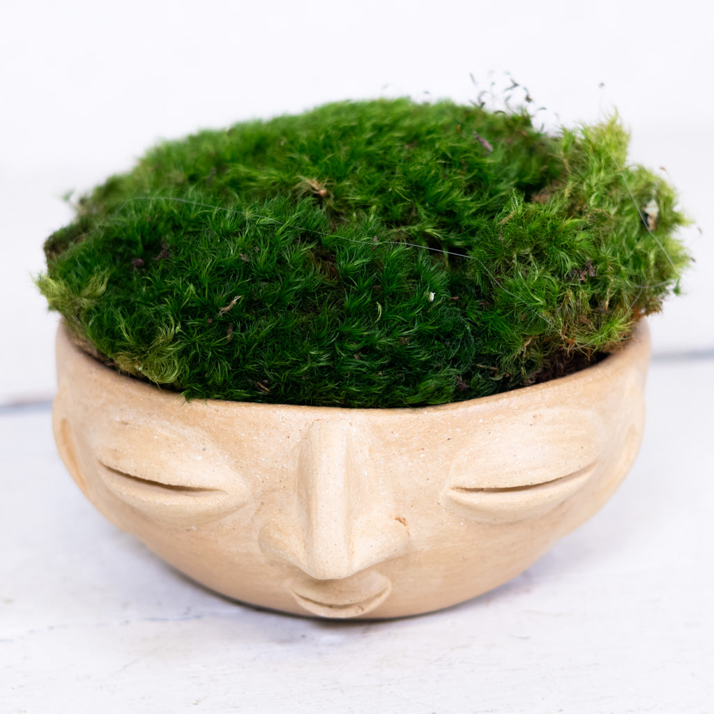 Mood Blanco Bowl