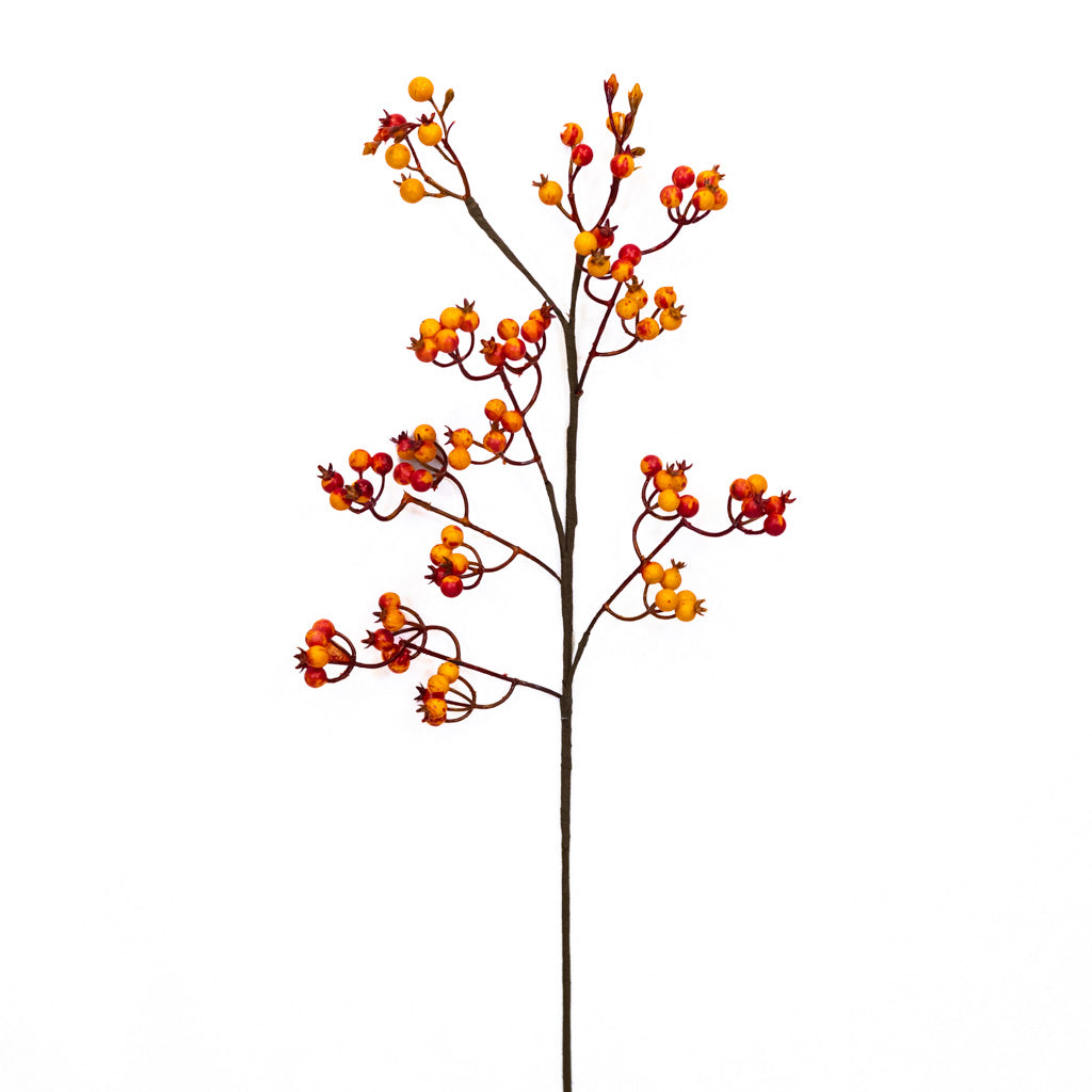 Orange Rosehip Berry Spray
