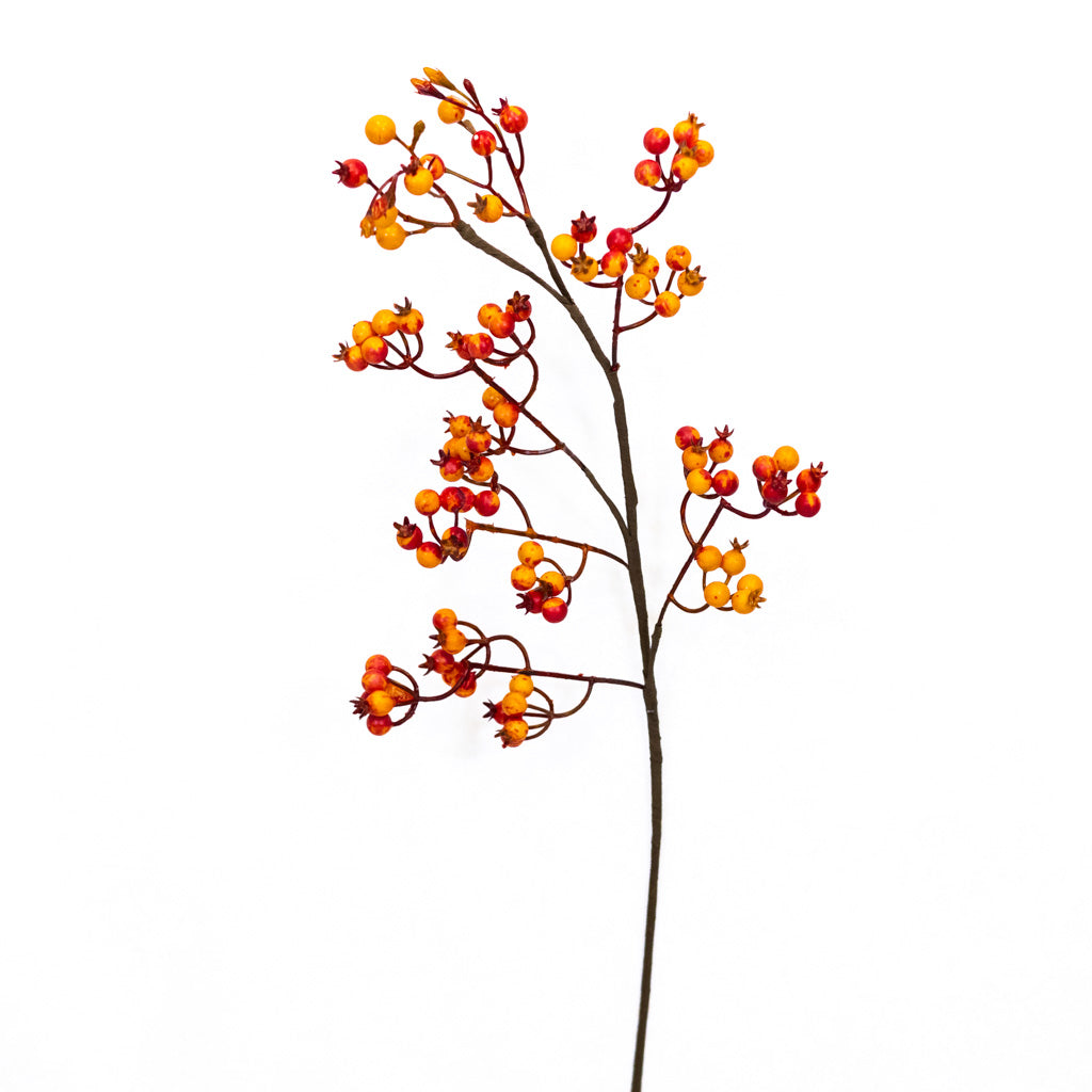 Orange Rosehip Berry Spray