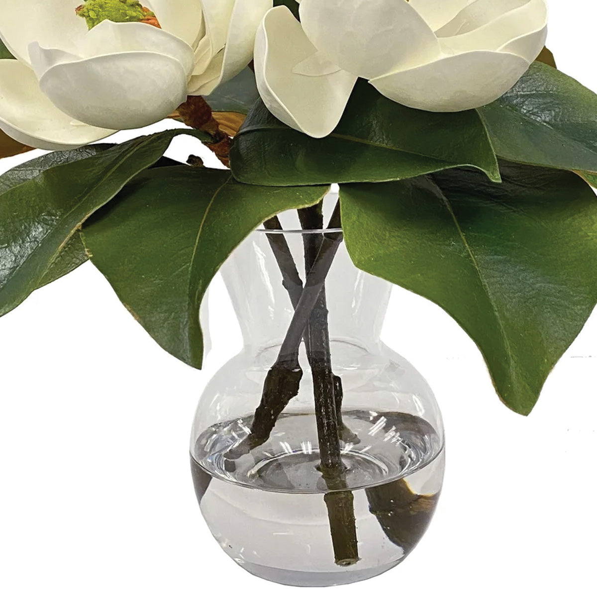 Magnolia in Vase 13"