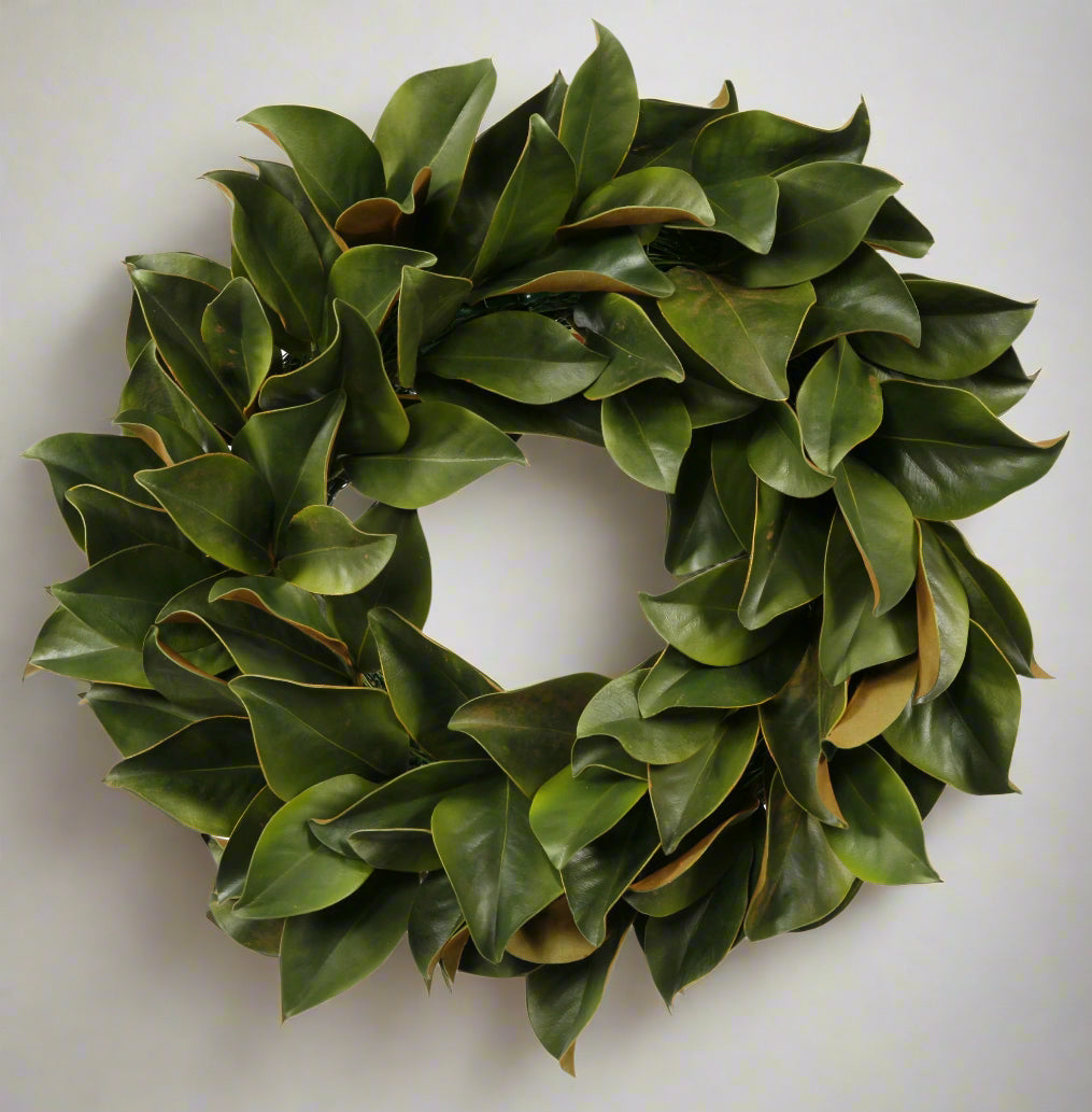 Green Magnolia Leaf Wreath 24"