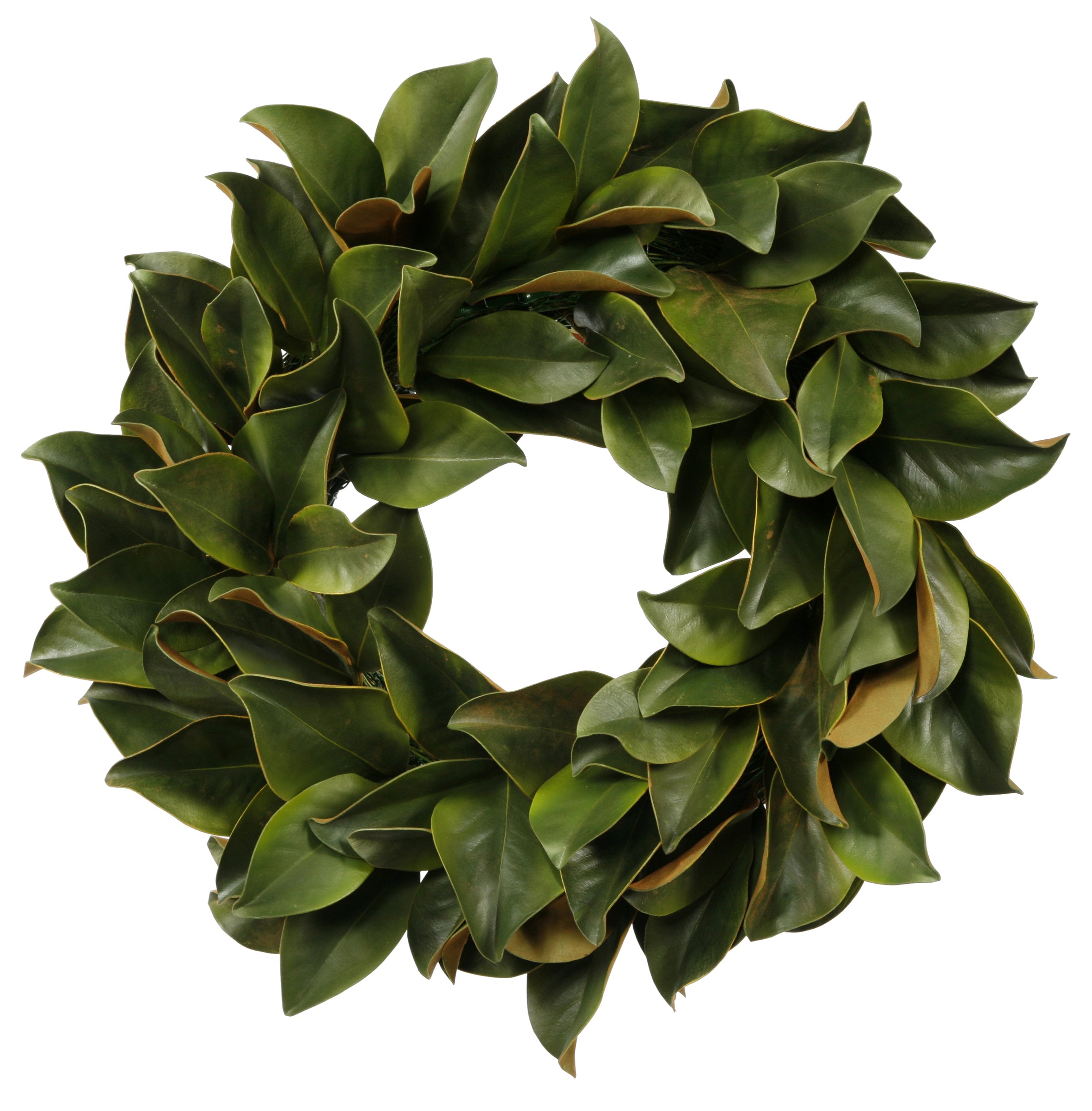 Green Magnolia Leaf Wreath 24"
