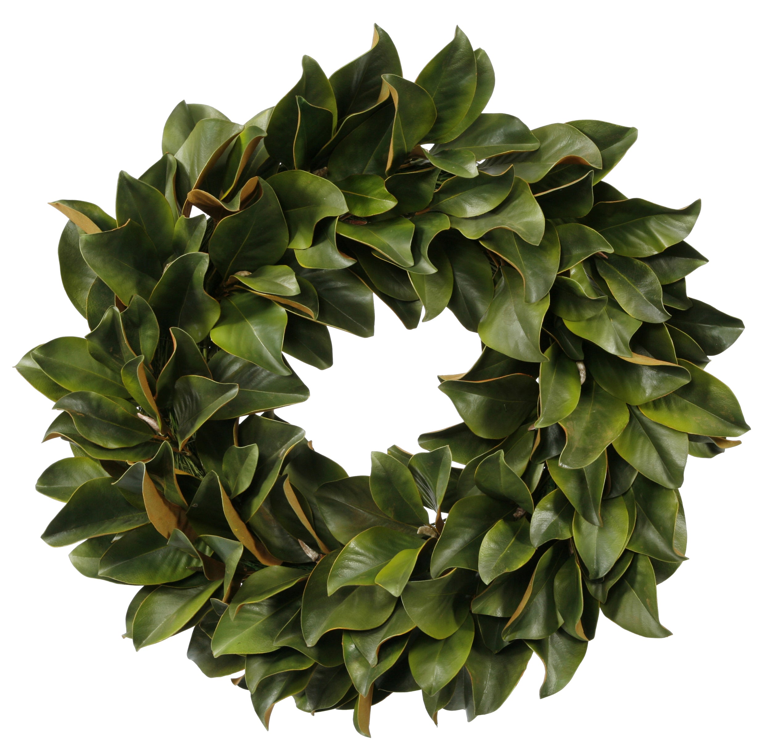 Green Magnolia Wreath Leaf 30"