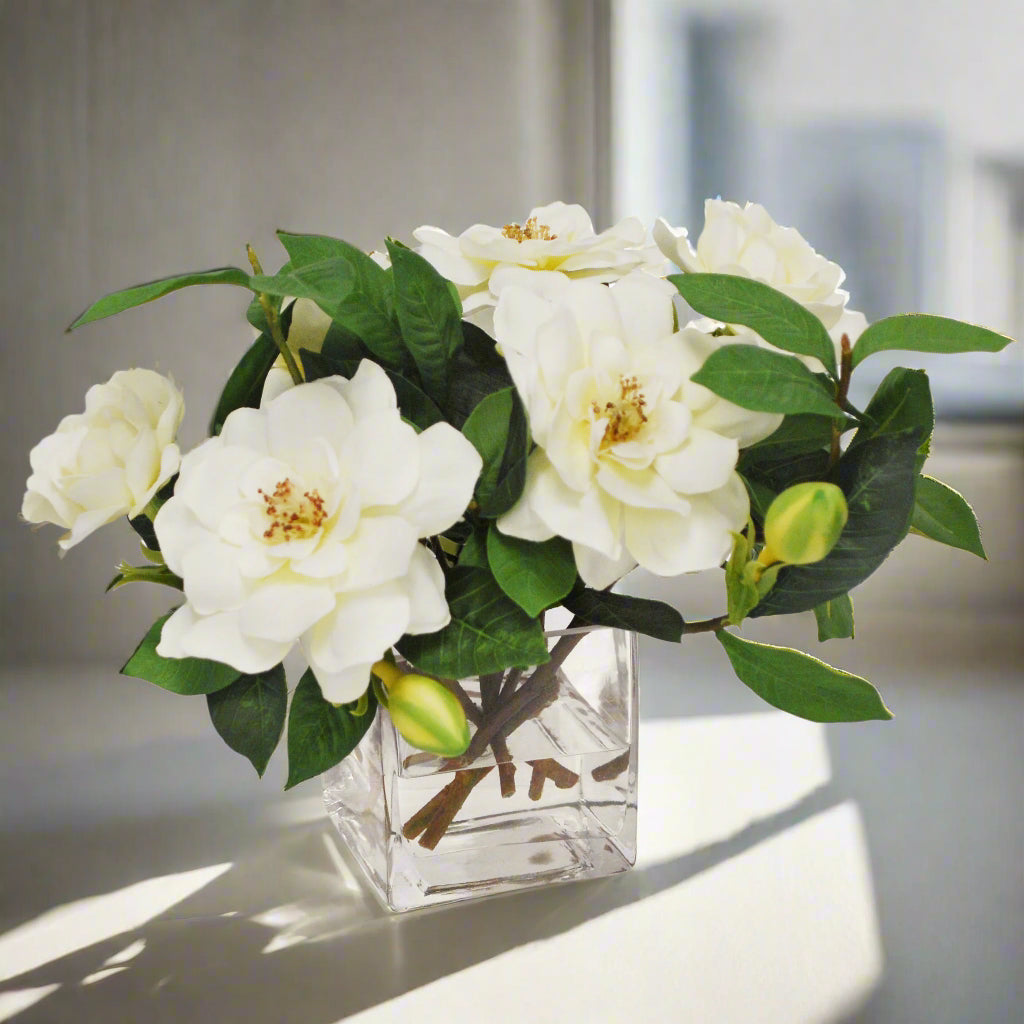 Cream Gardenia Jubilation in Cube