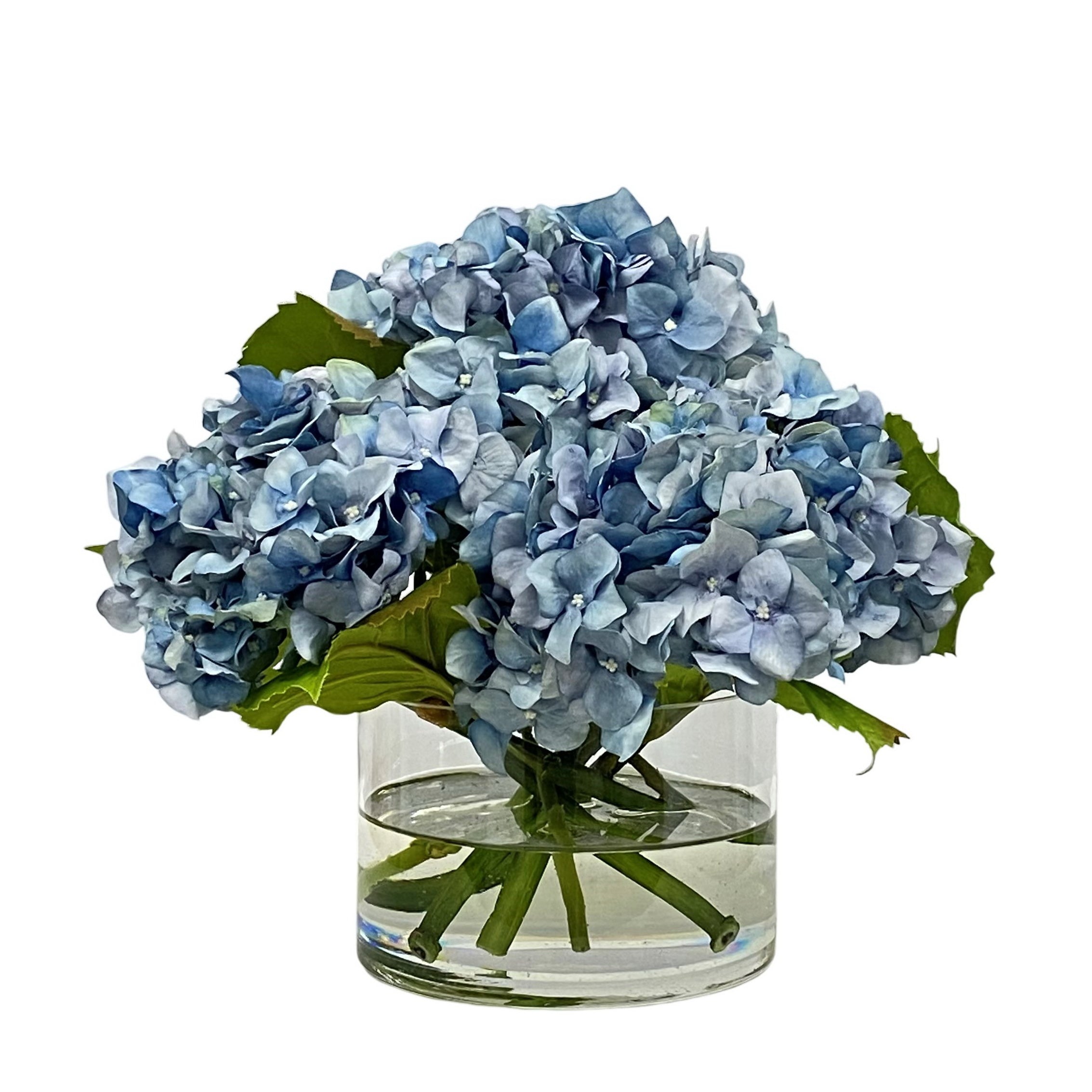 Light Blue Hydrangea in Cylinder