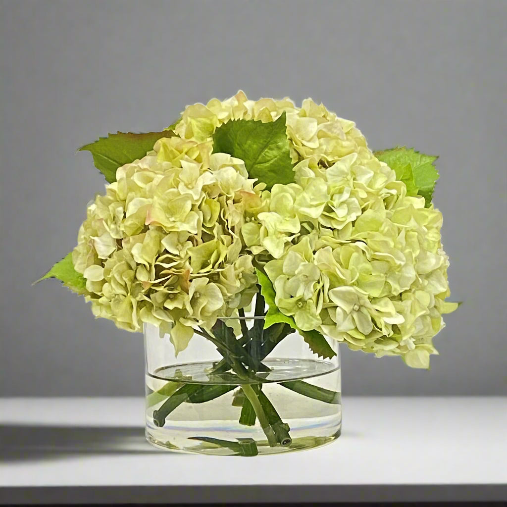 Light Green Hydrangea in Cylinder