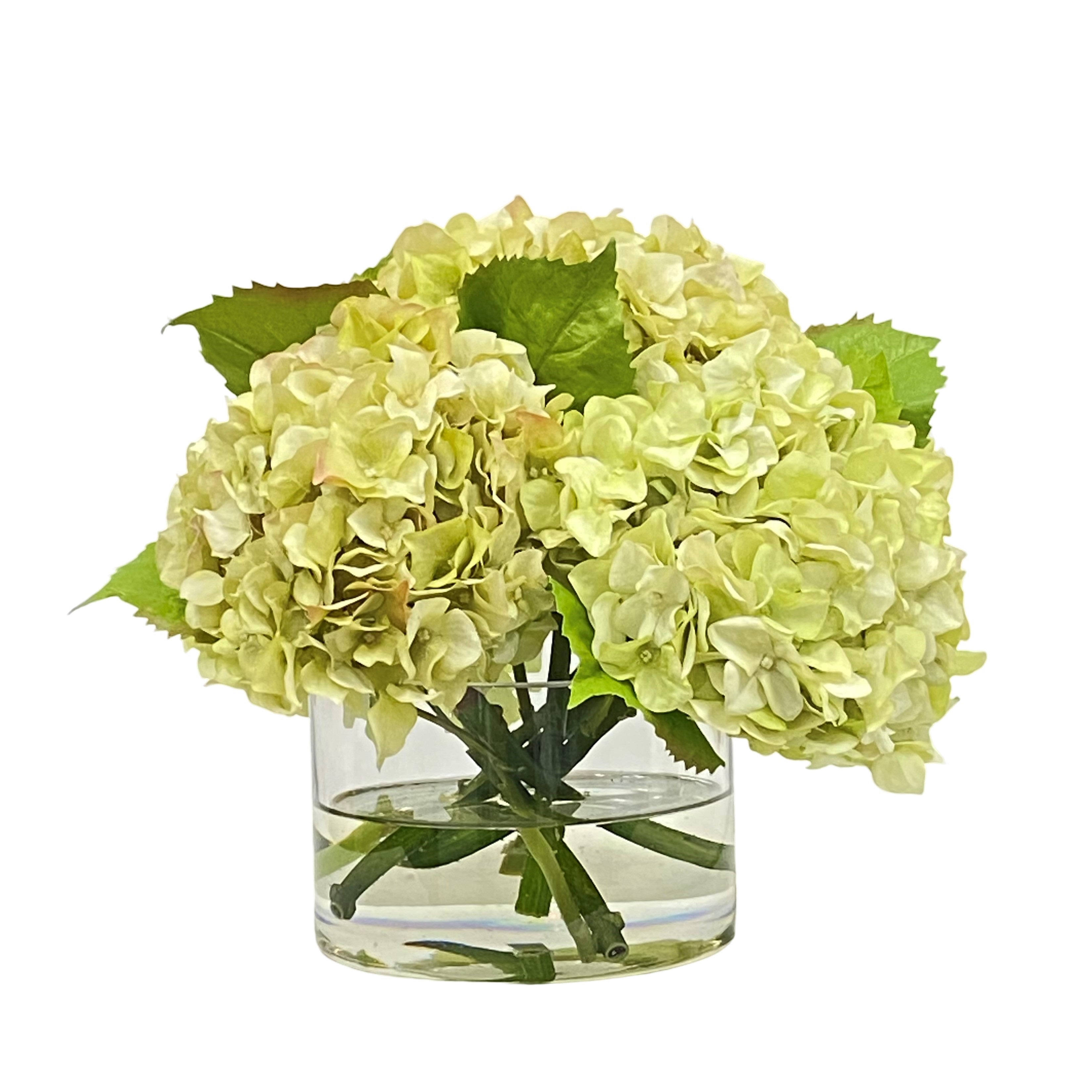 Light Green Hydrangea in Cylinder