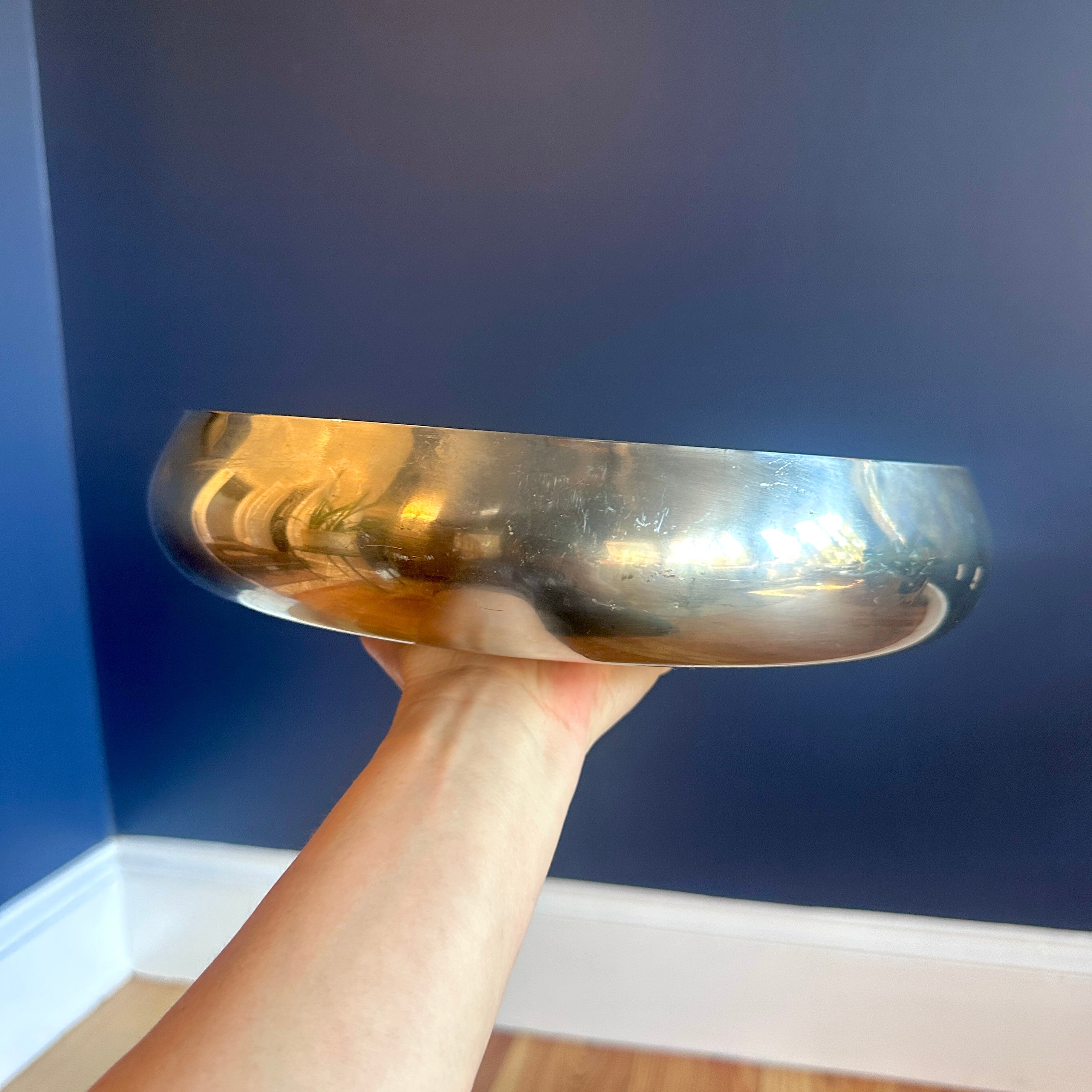Stainless Steel Shallow Bowl/Planter