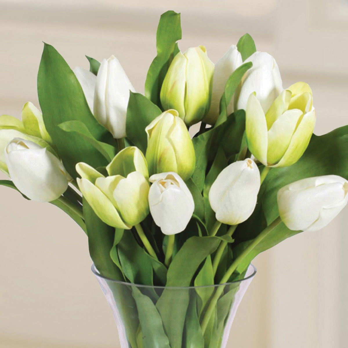 White and Green Tulips in Glass