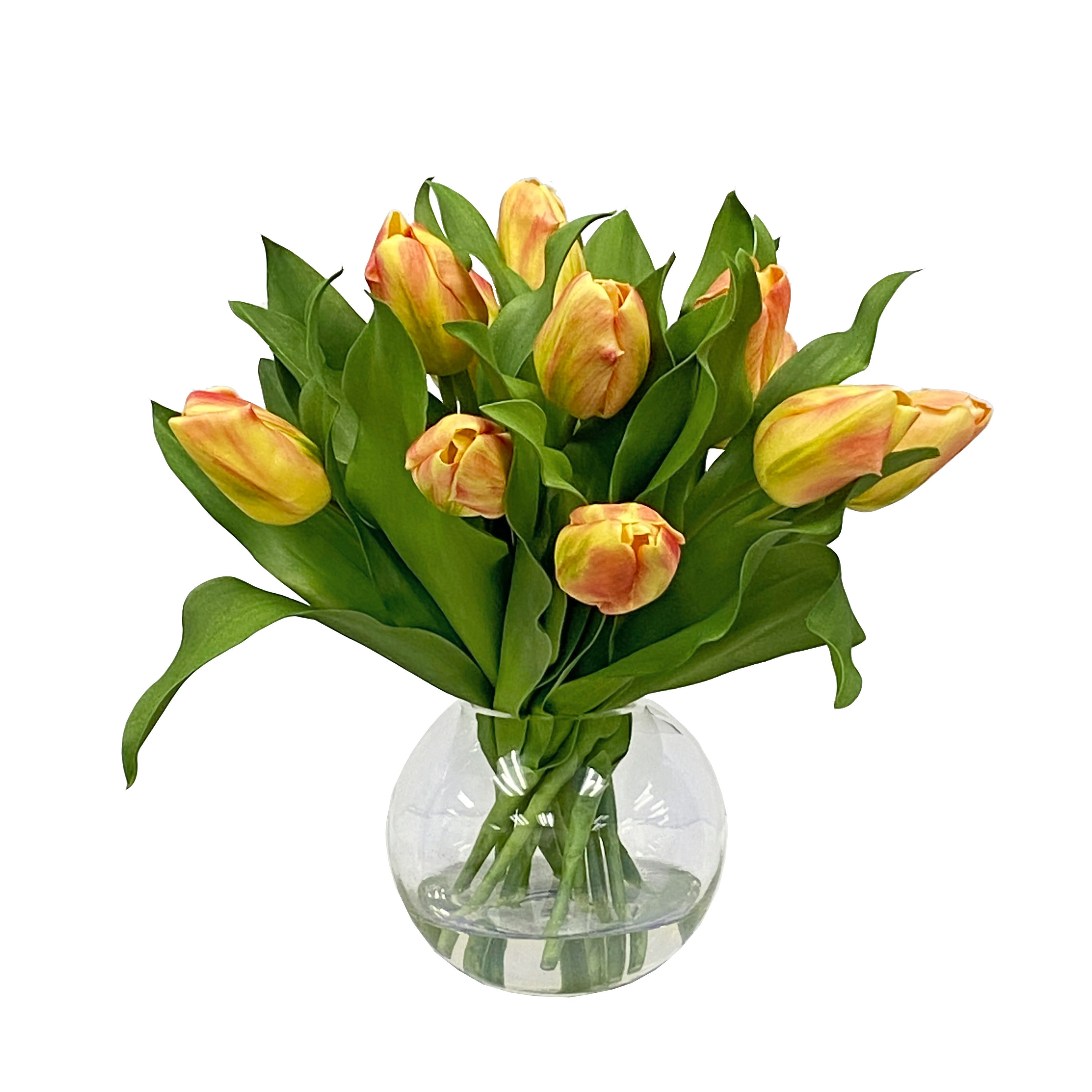 Yellow and Orange Tulips in Bubble Bowl