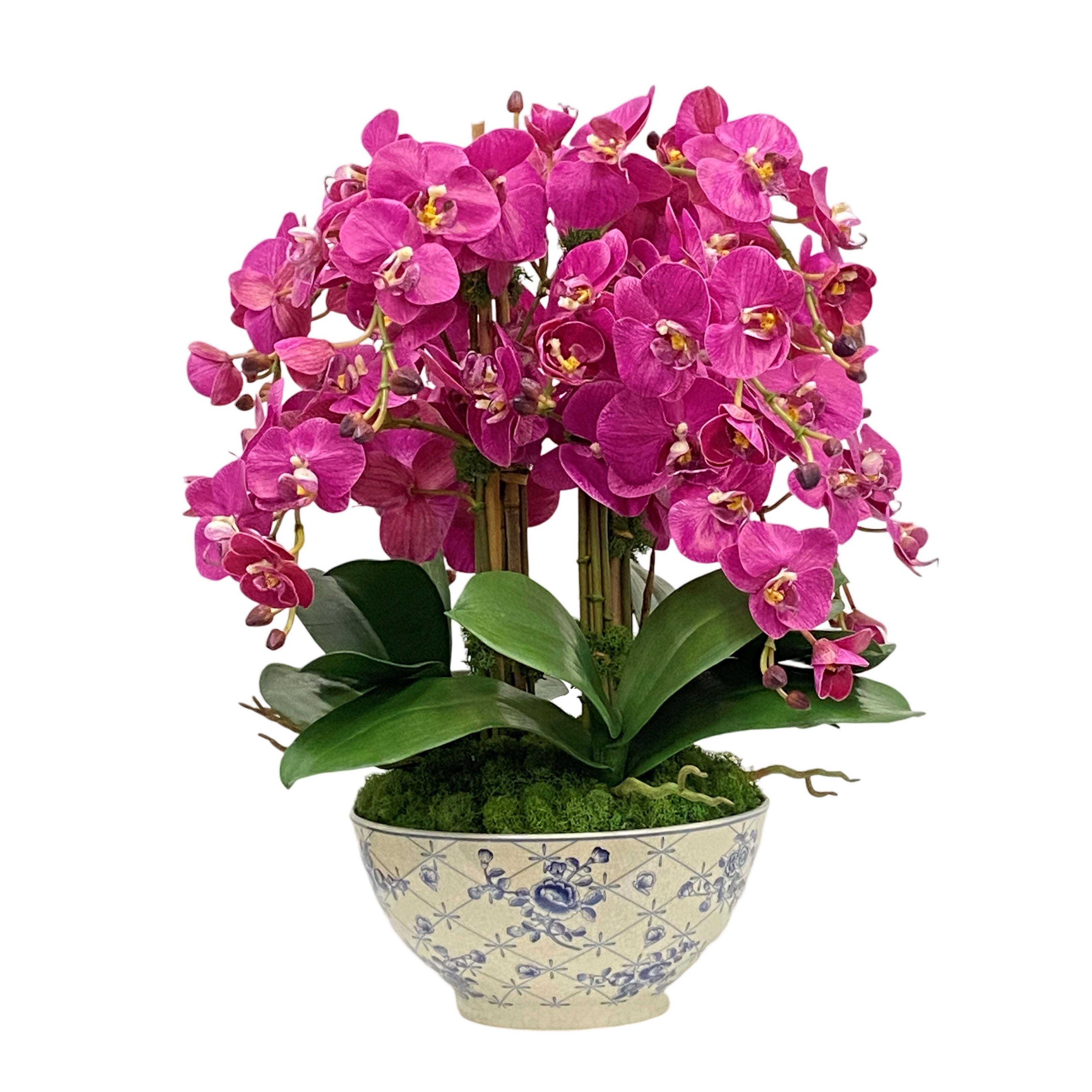 Fuchsia Orchid in Rose Trellis Bowl