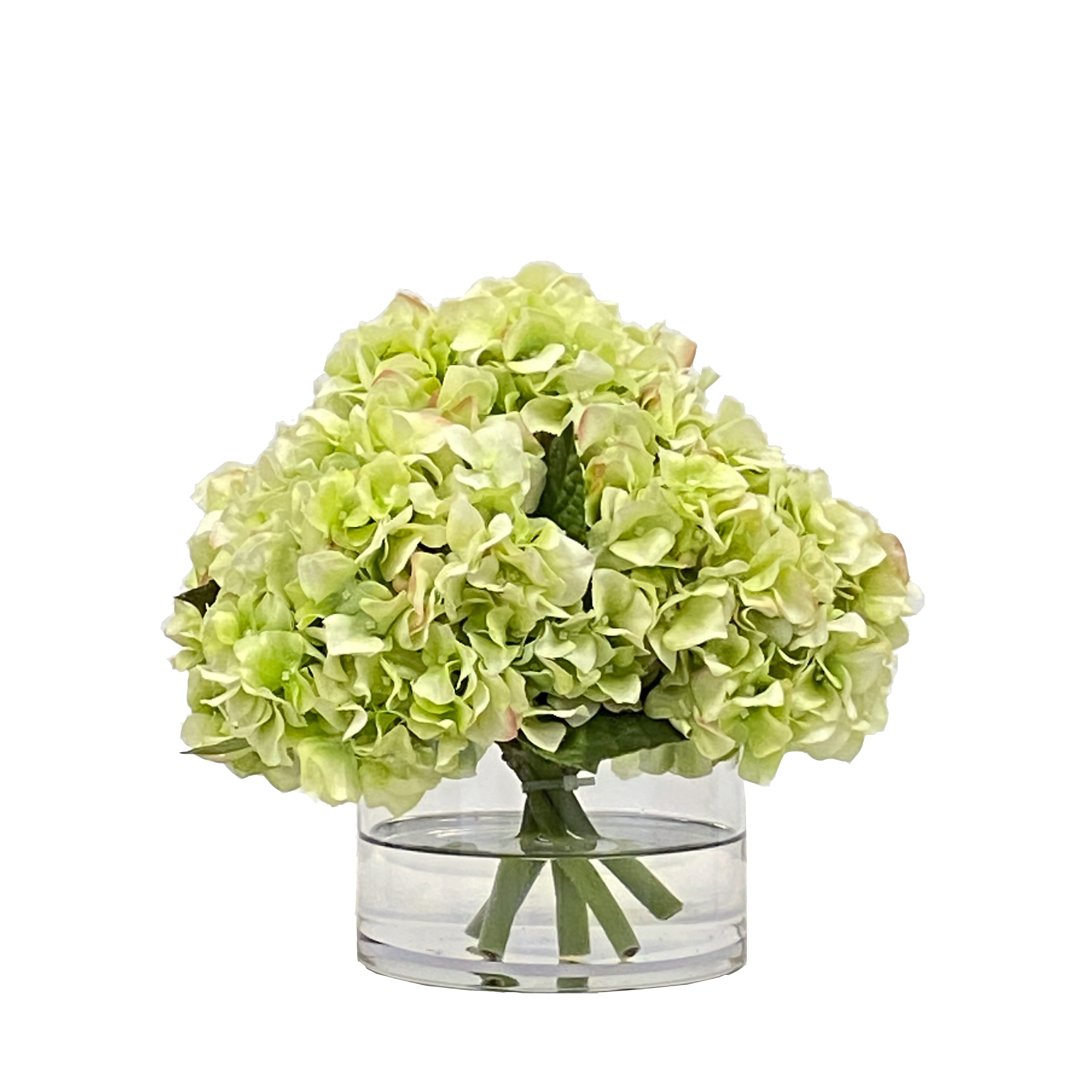 Green Hydrangea in Vase