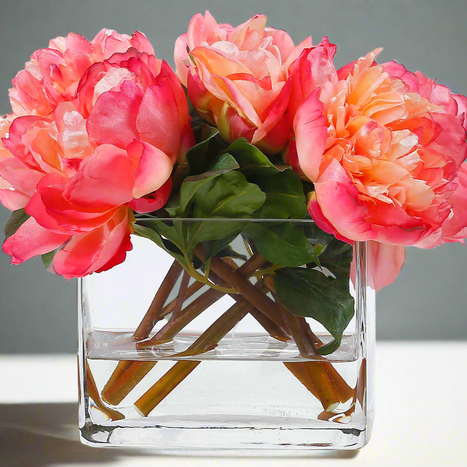 Salmon Peonies in Vase