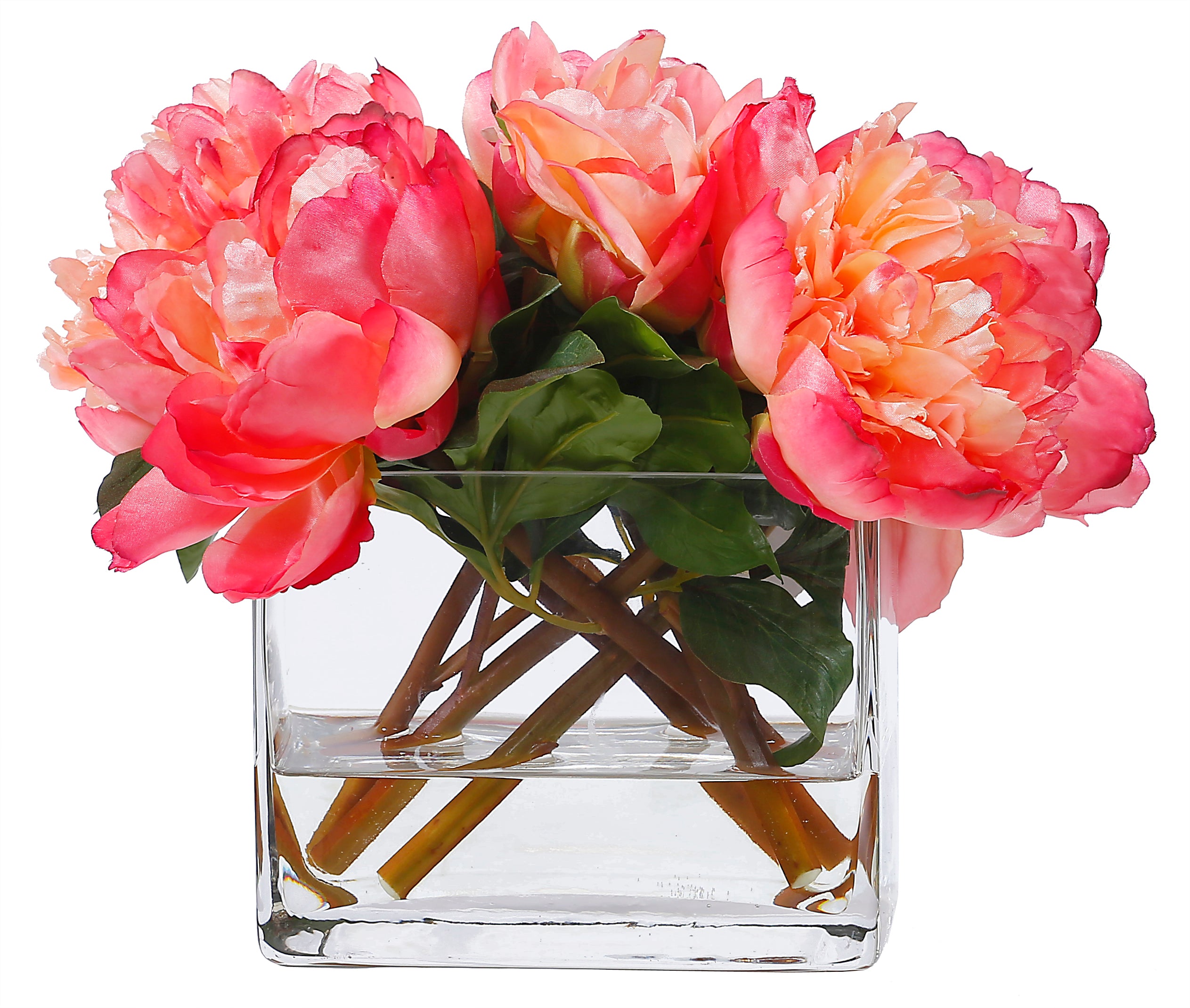 Salmon Peonies in Vase