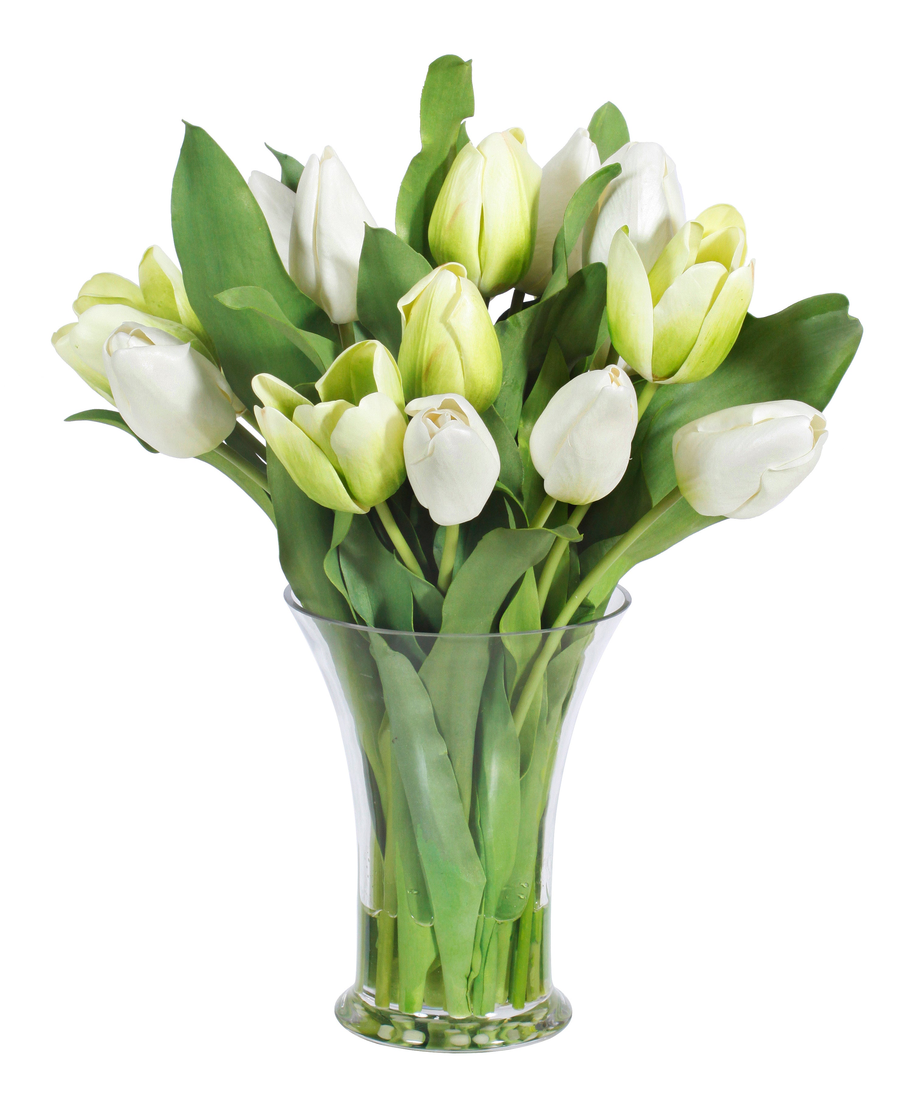 White and Green Tulips in Glass