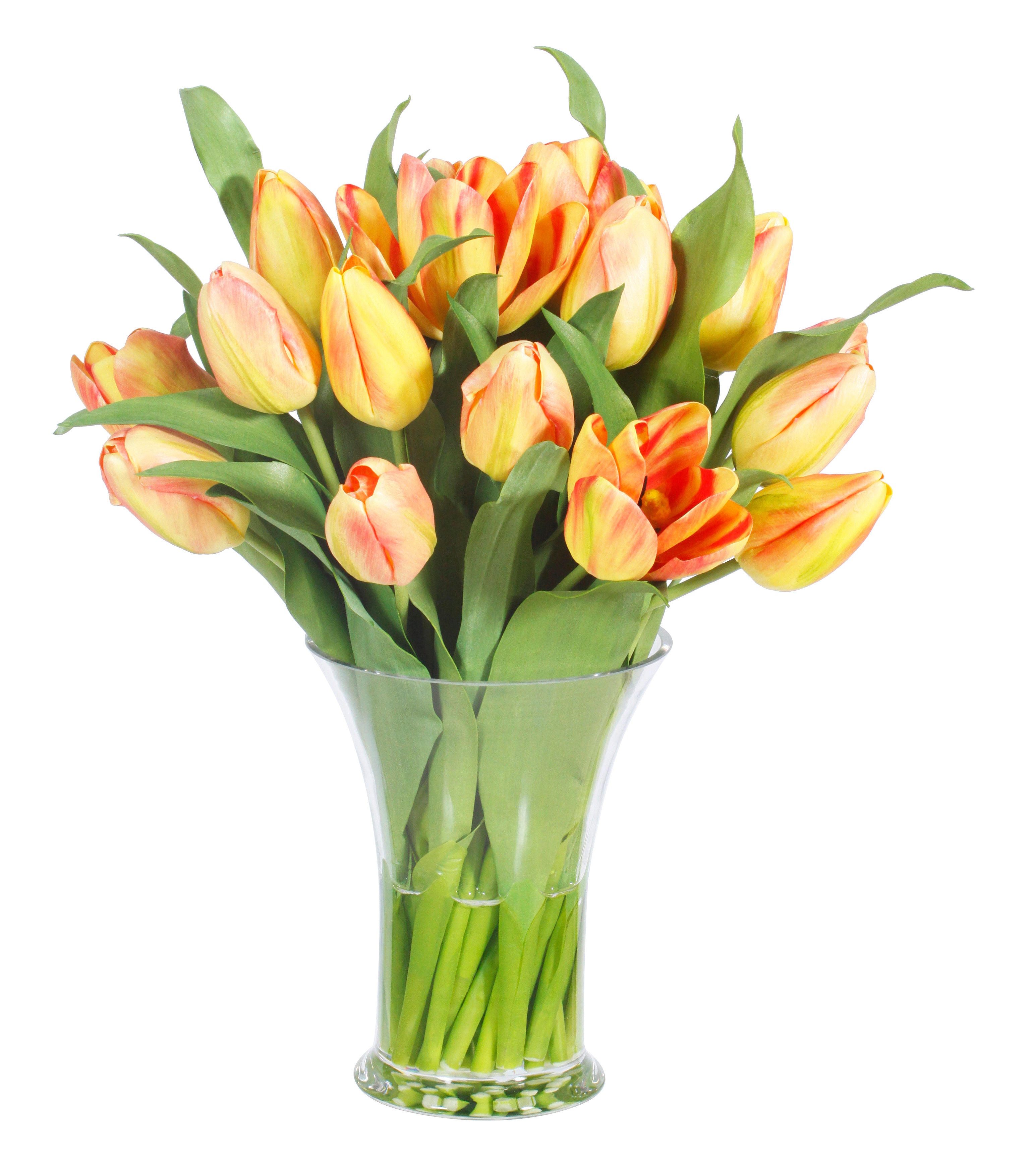 Yellow and Orange Tulips in Glass