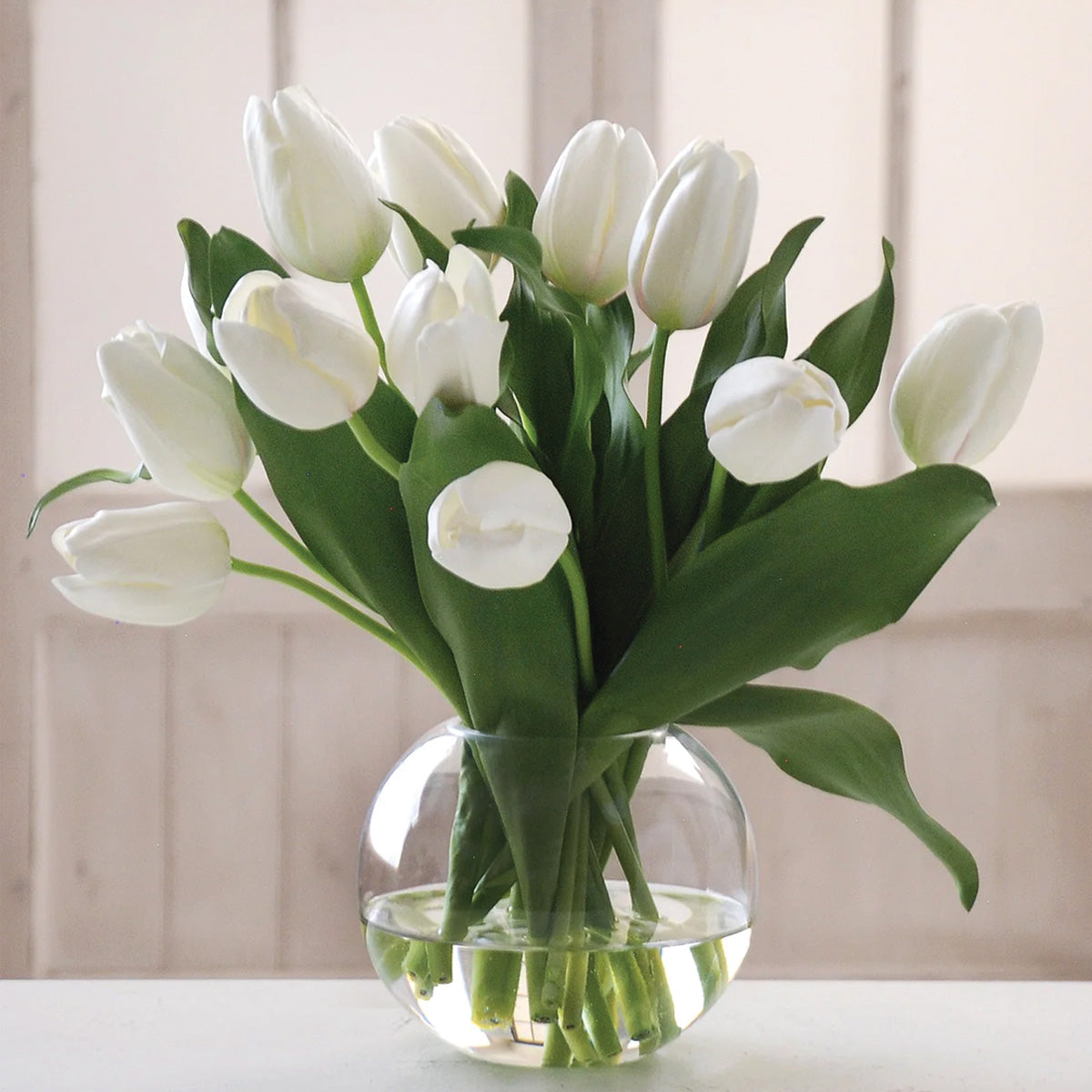 White Tulips in Bubble Bowl