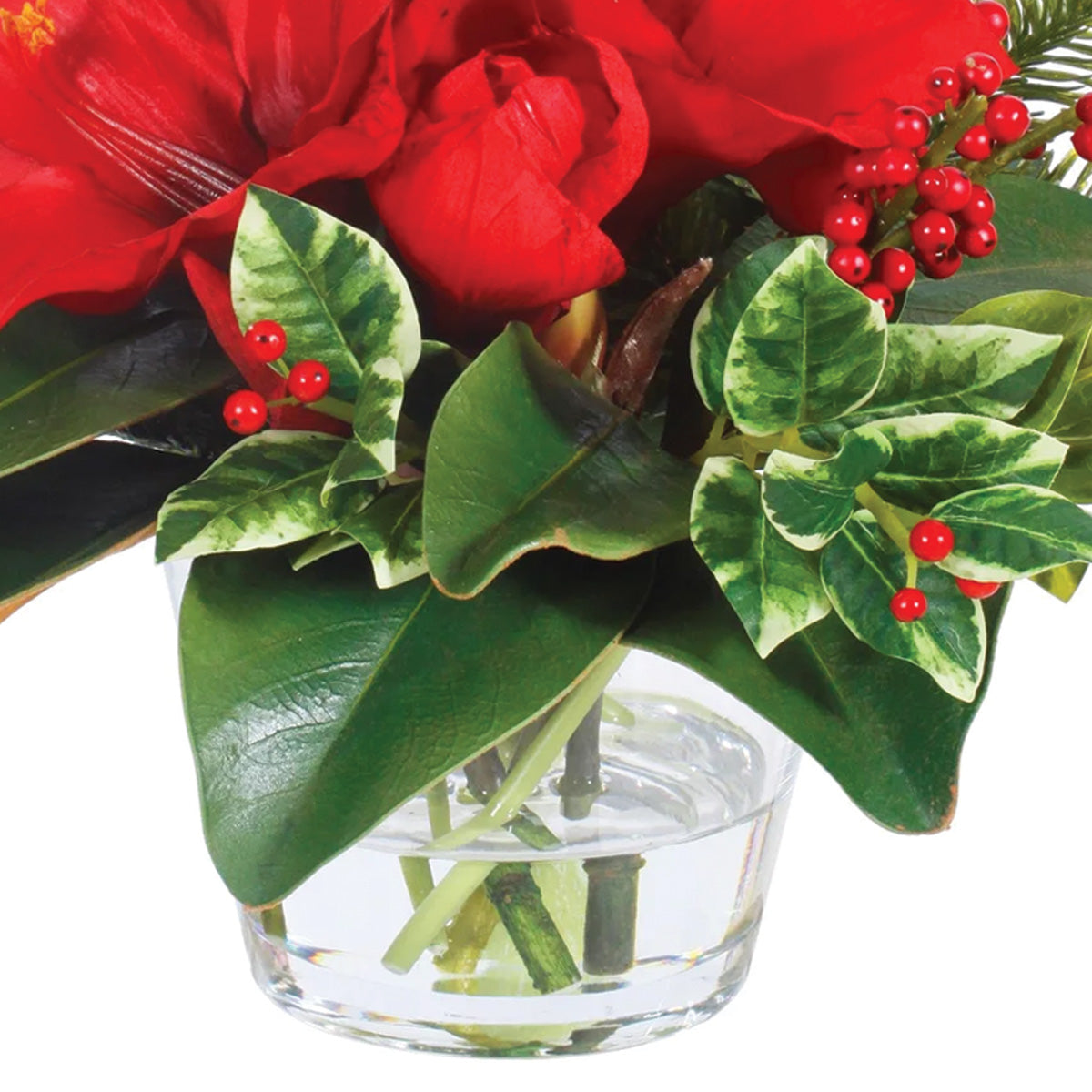 Red Holiday Amaryllis and Holly in Vase Petite