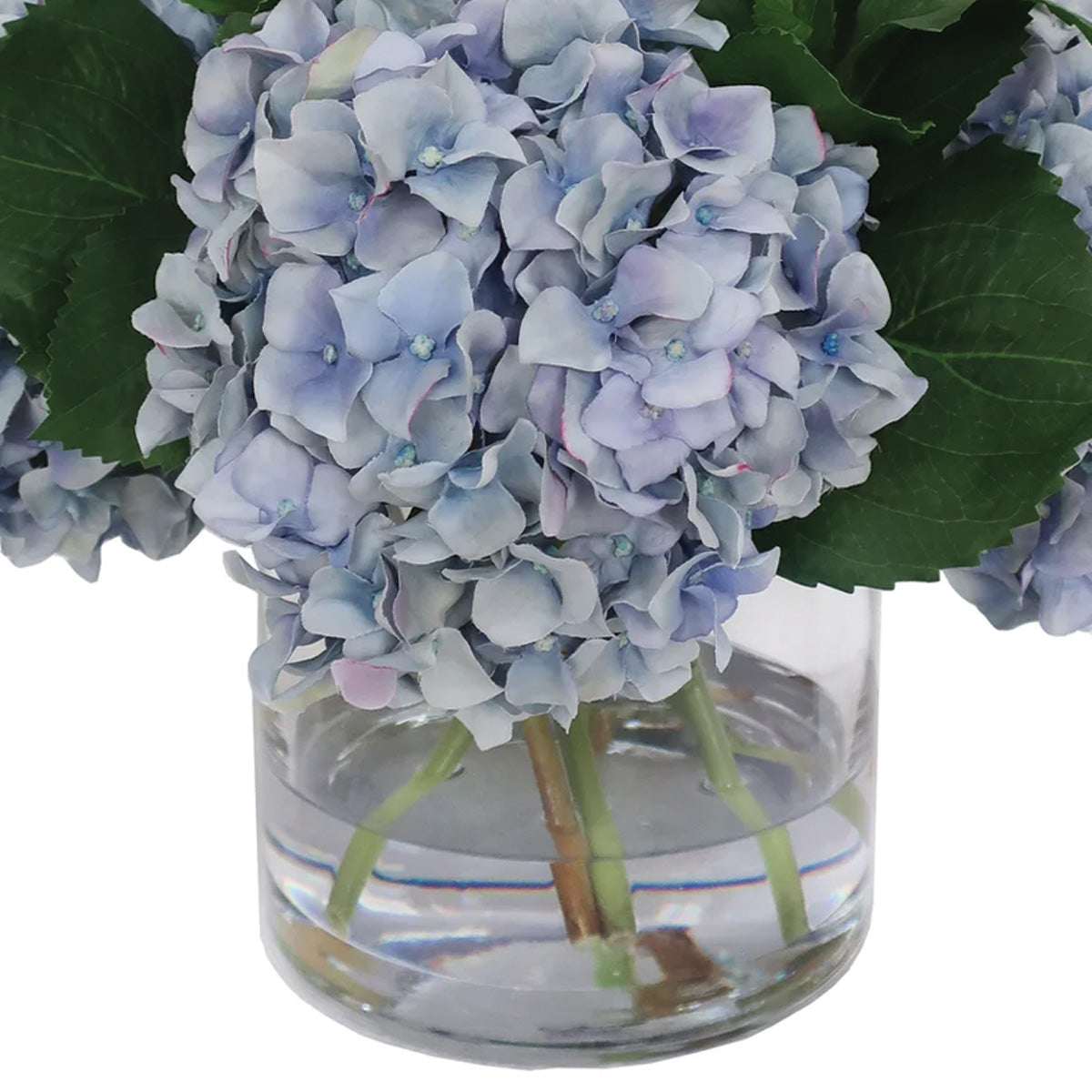 Blue Hydrangea In Vase