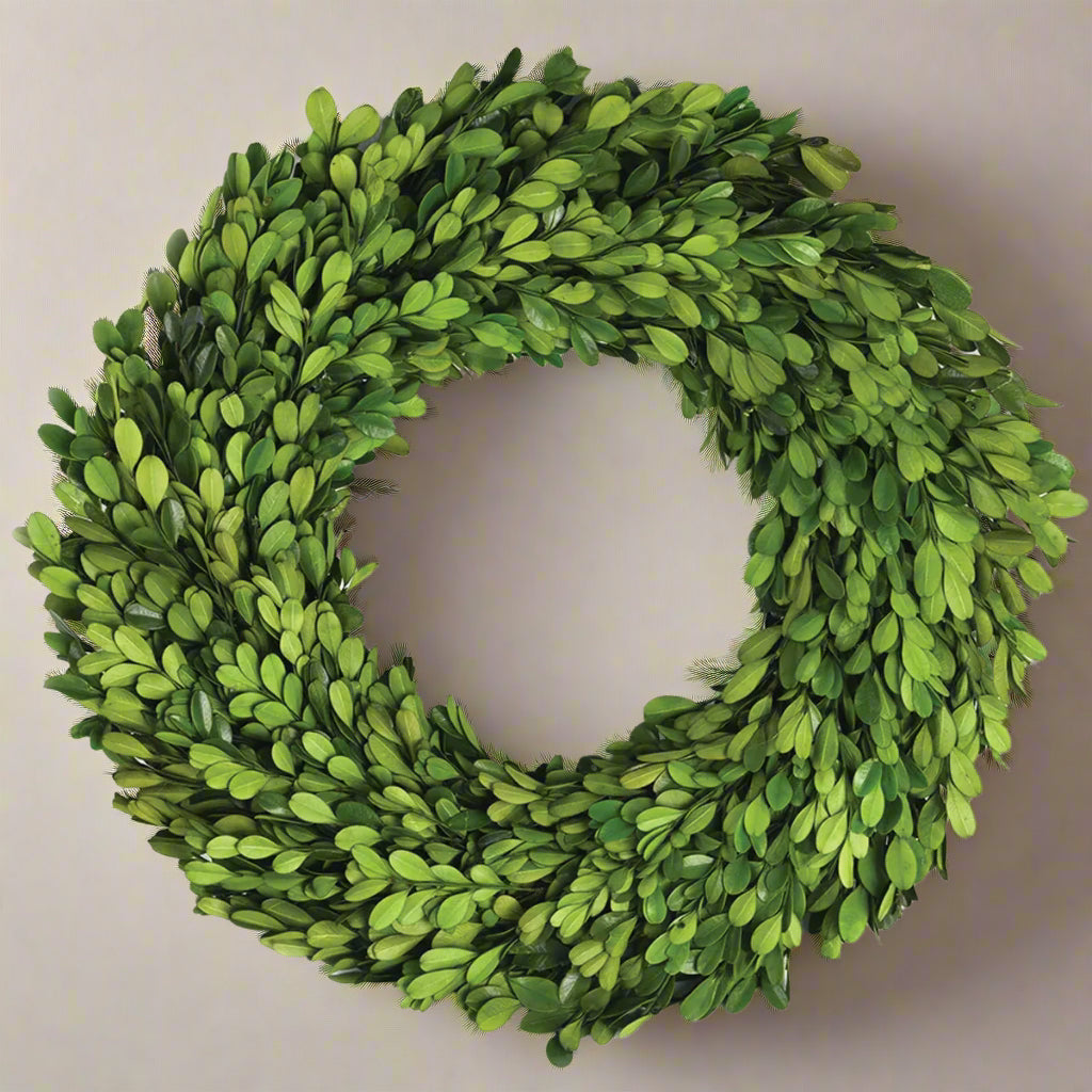 Boxwood Wreath 24"