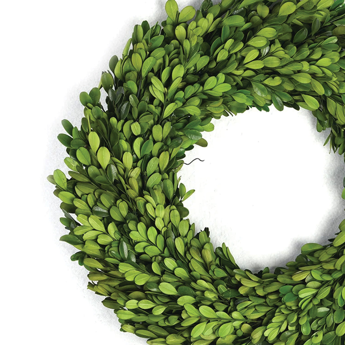 Boxwood Wreath 24"