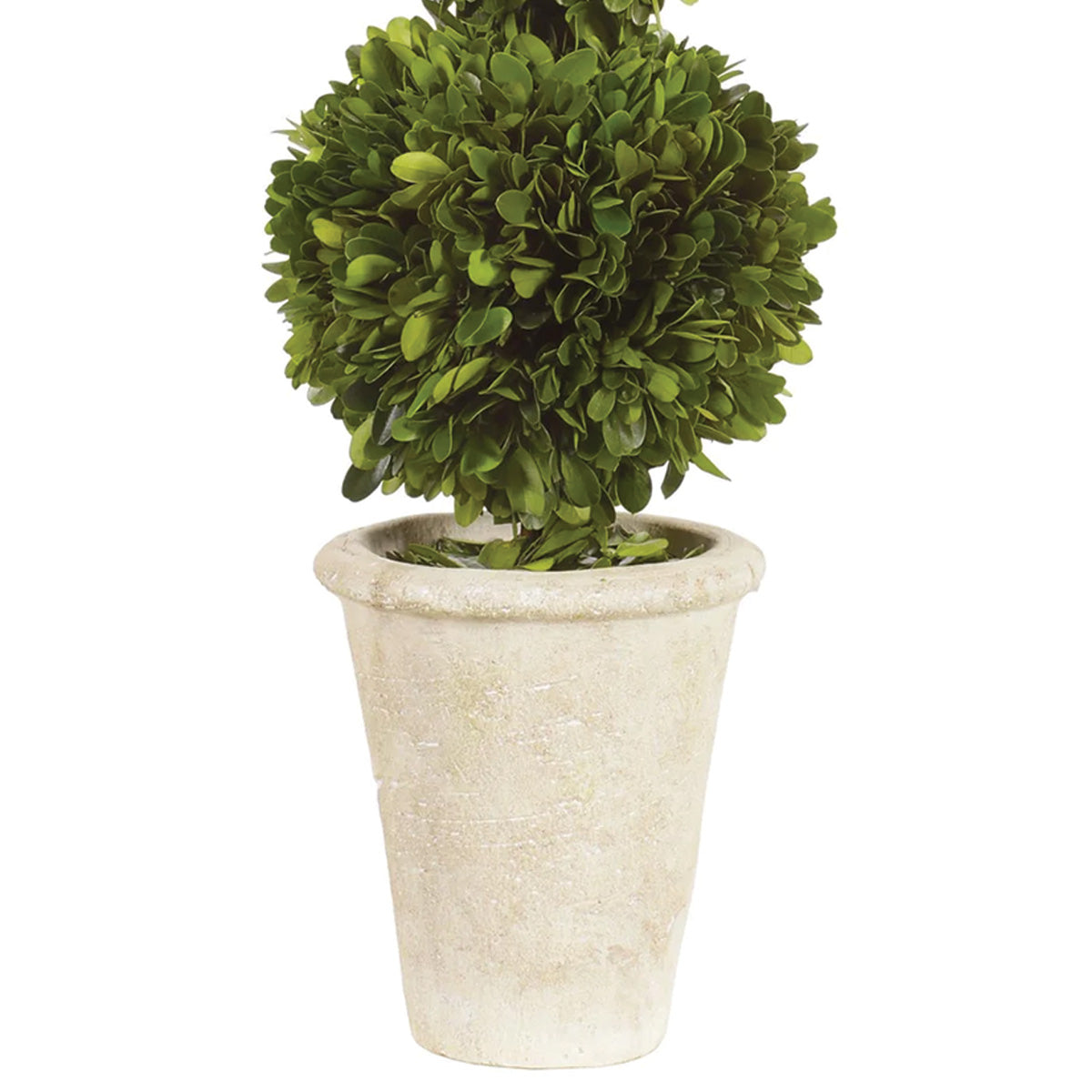 Double Boxwood Ball Topiary 18"