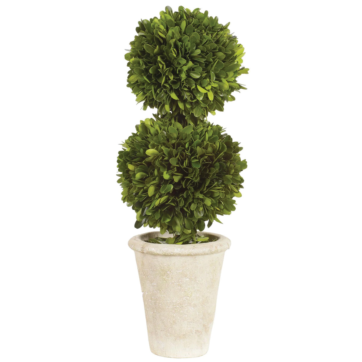Double Boxwood Ball Topiary 18"