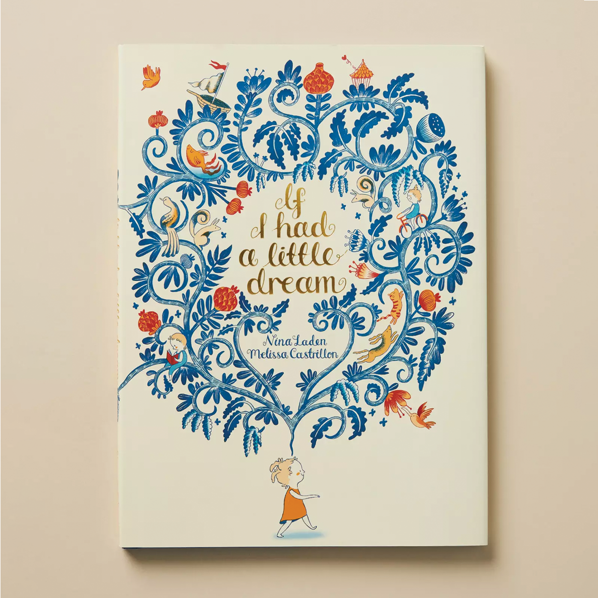 If I Had A Little Dream Storybook