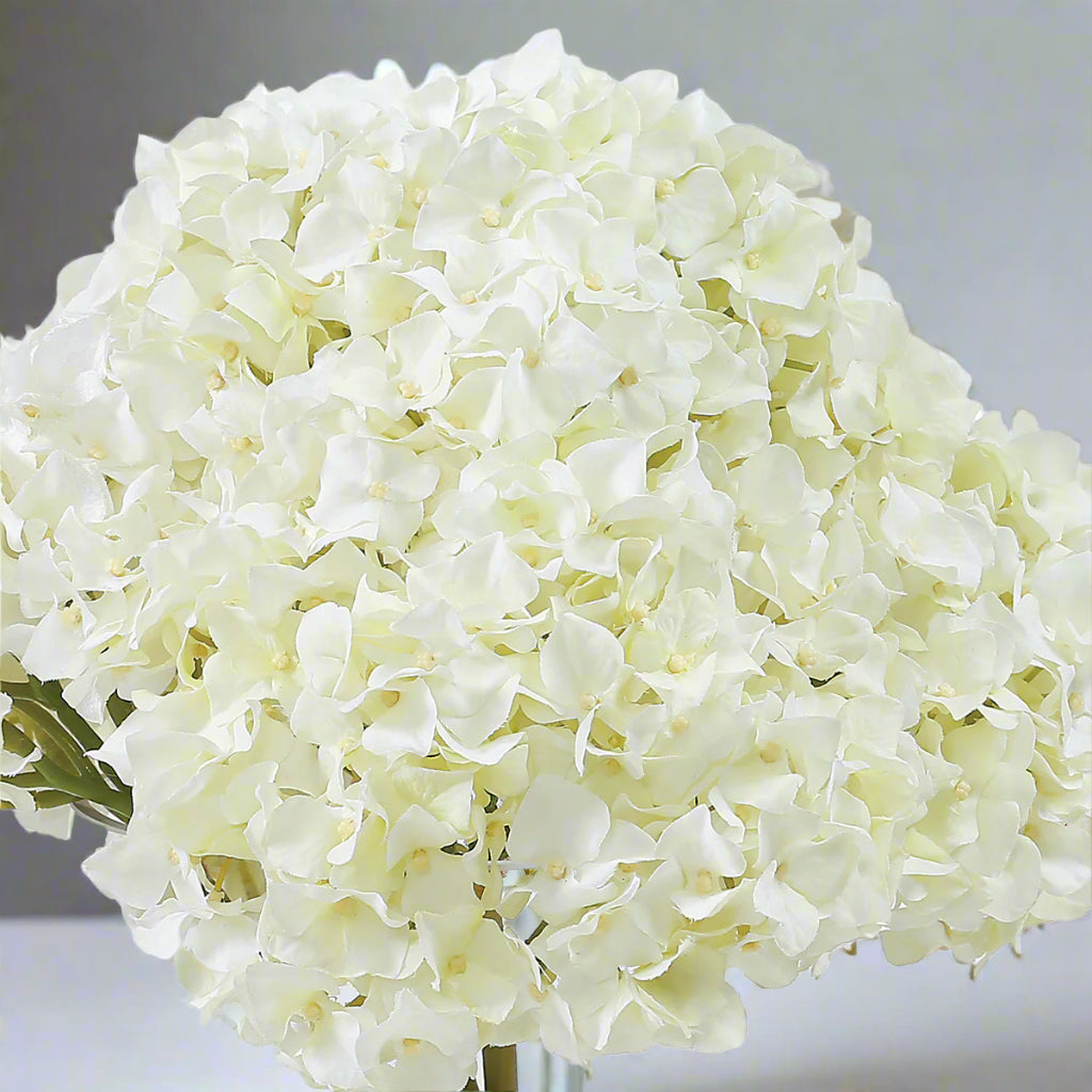 White Hydrangeas in Glass