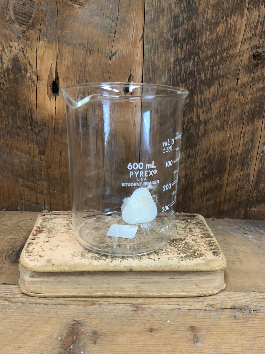 Pyrex Lab Beaker 20 oz. Branches Designs