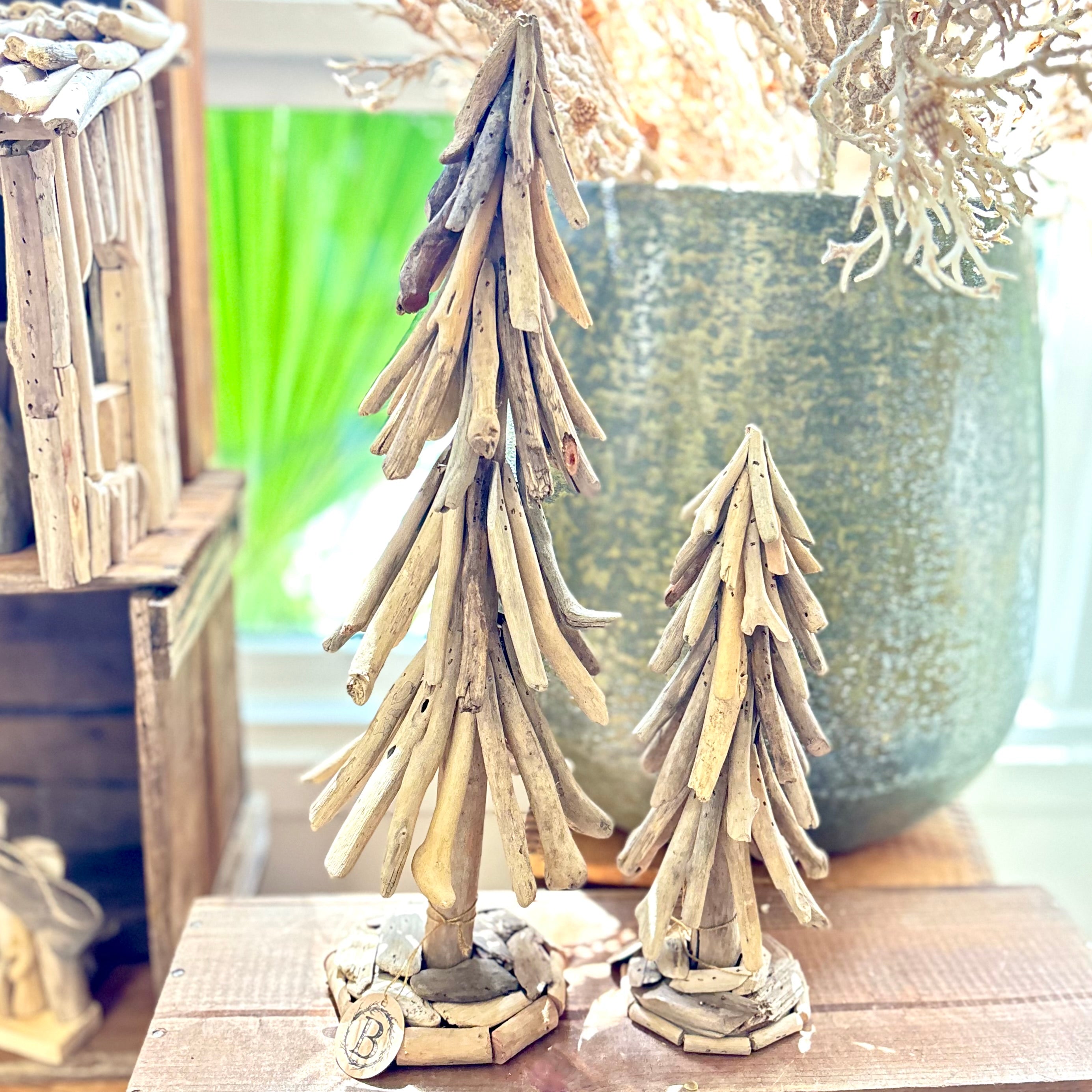 Driftwood Pine Tree Medium