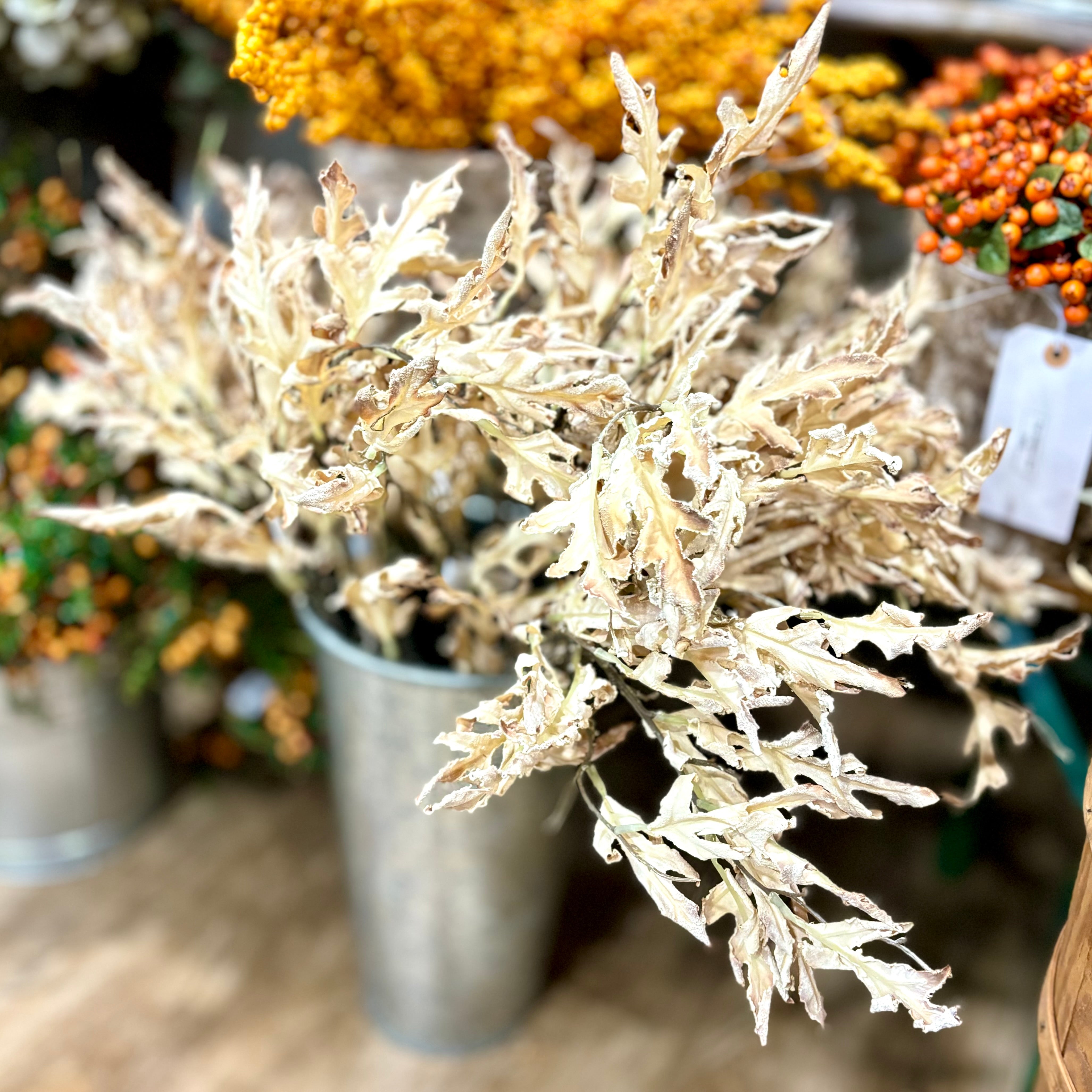 Dried Parchment Oak Leaf Spray