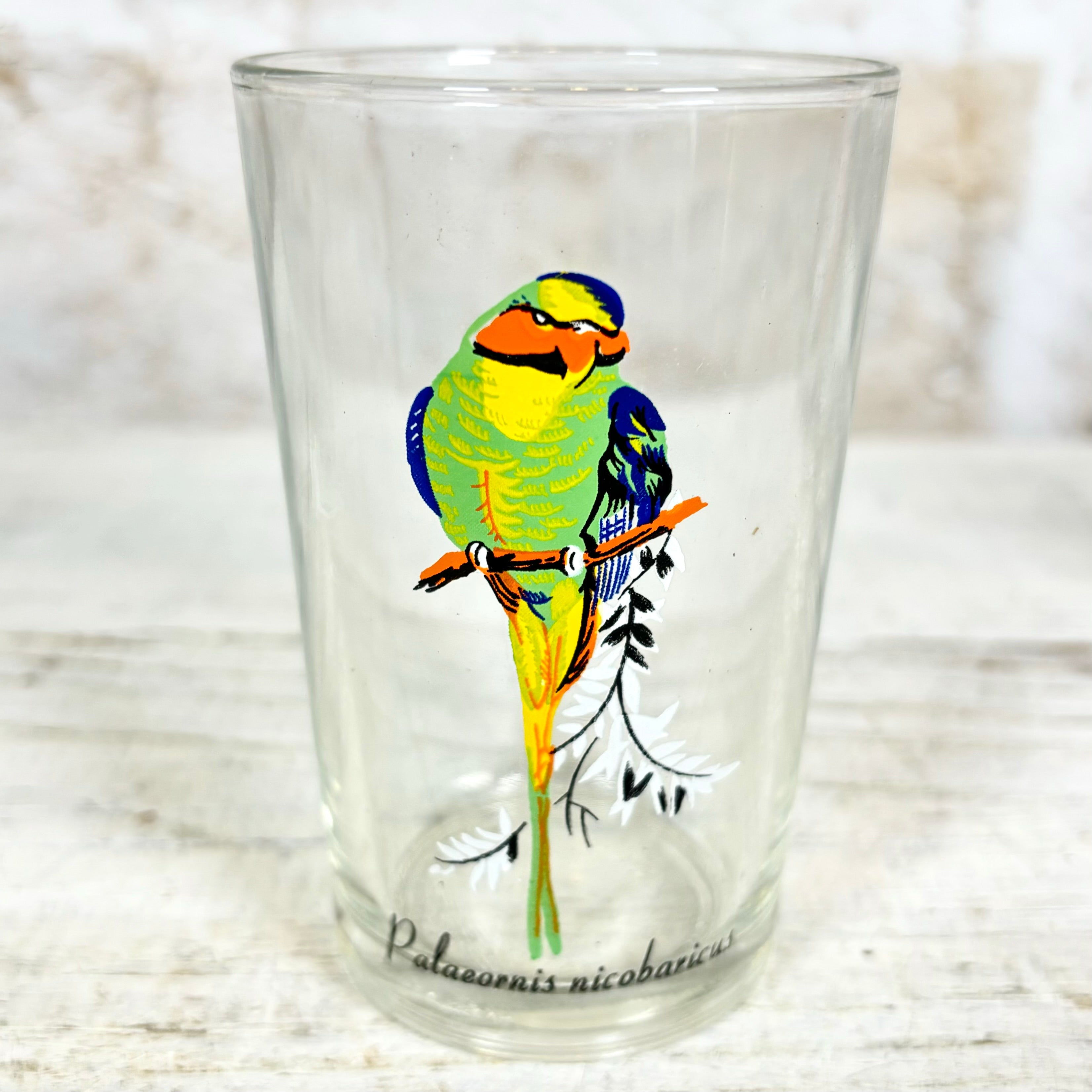 Vintage KIG Malaysia Exotic Bird Glasses Set of Four