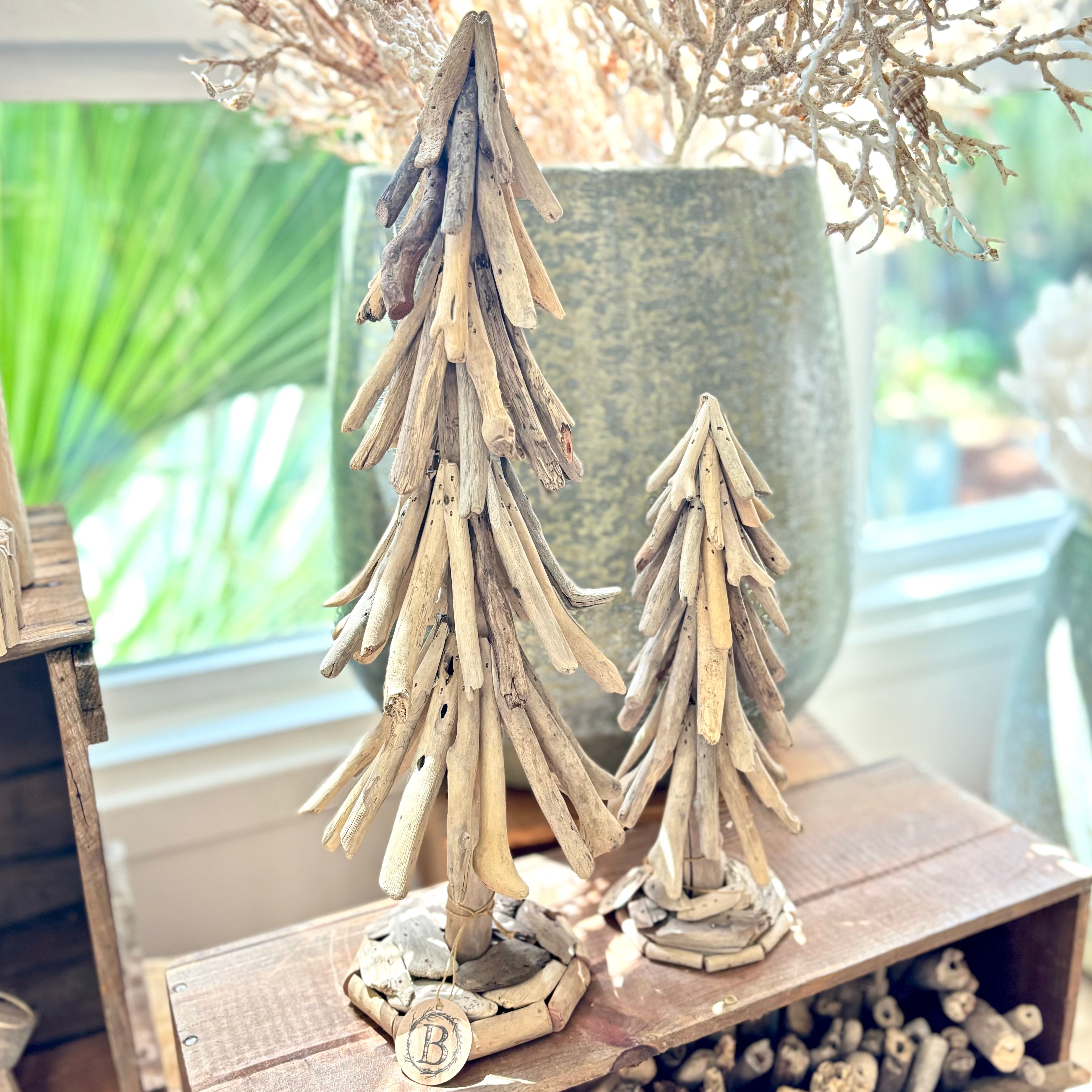 Driftwood Pine Tree Medium