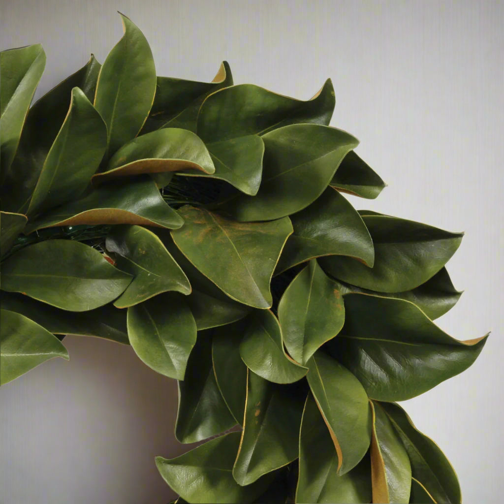 Green Magnolia Leaf Wreath 24"
