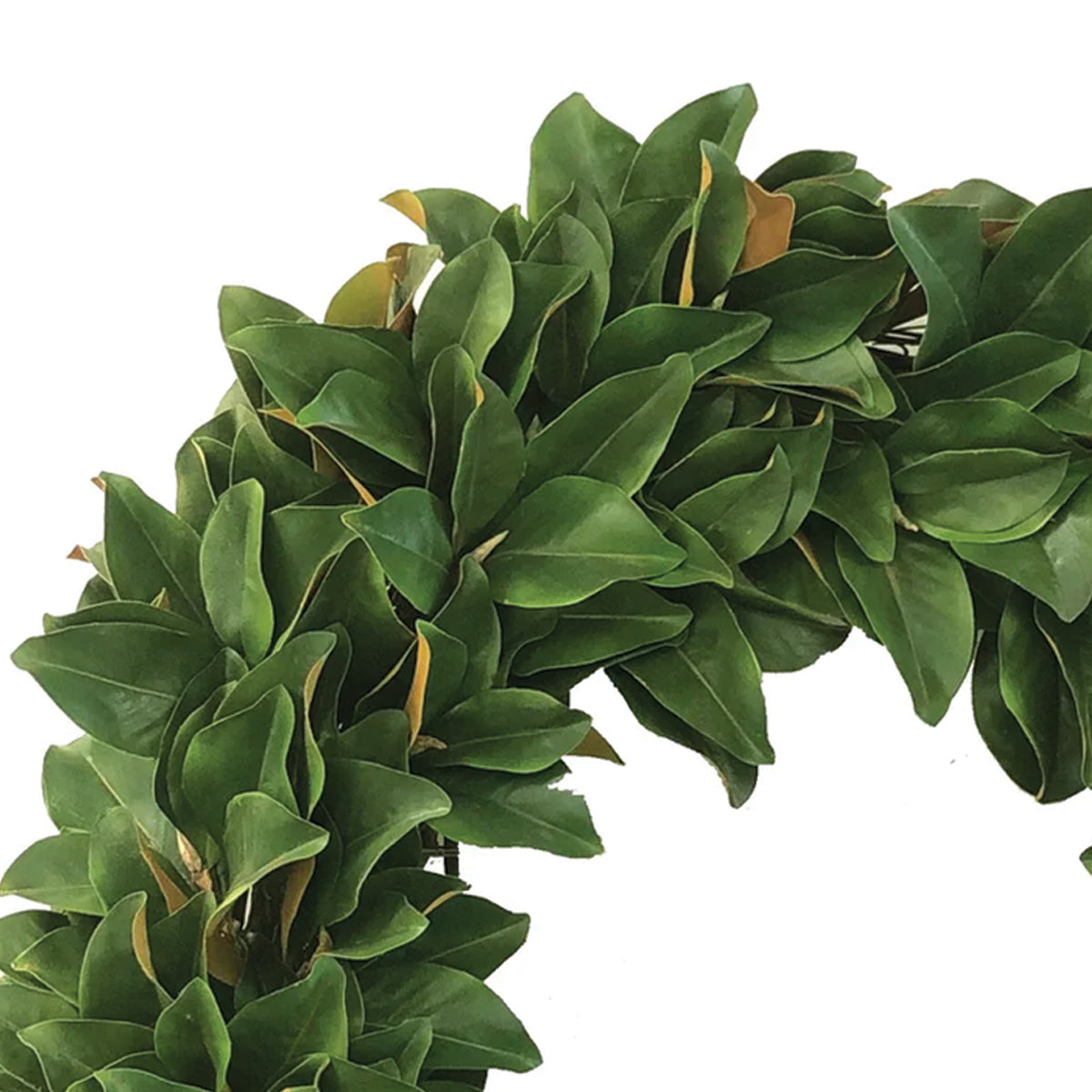 Magnolia Leaf Wreath 36"