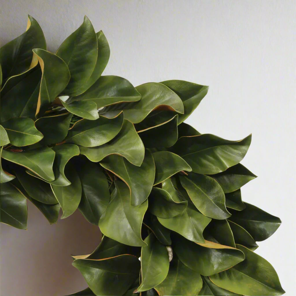 Green Magnolia Wreath Leaf 30"