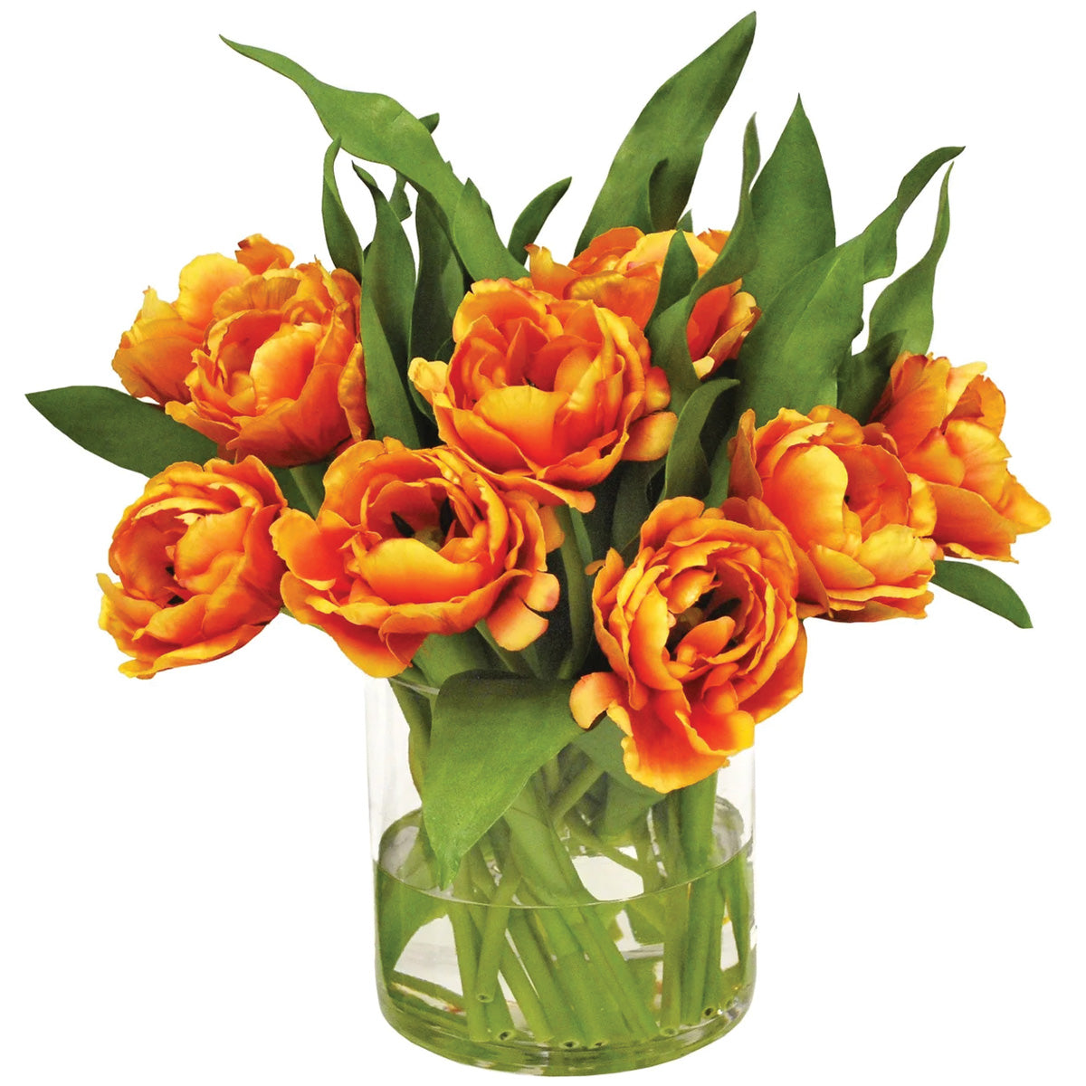 Double Orange Tulips in Vase