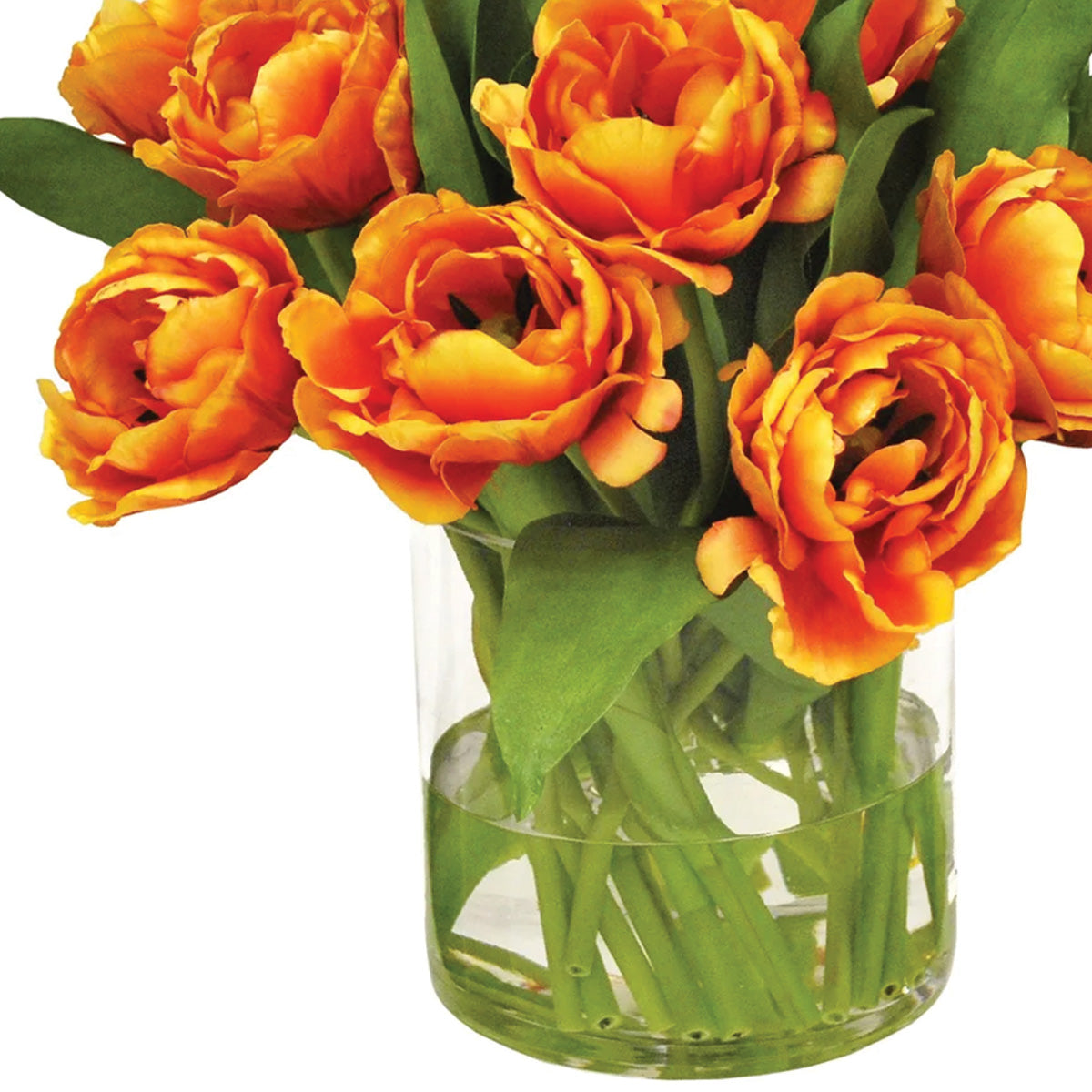 Double Orange Tulips in Vase