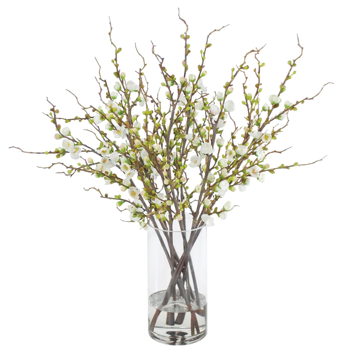 White Peach Blossoms in Vase