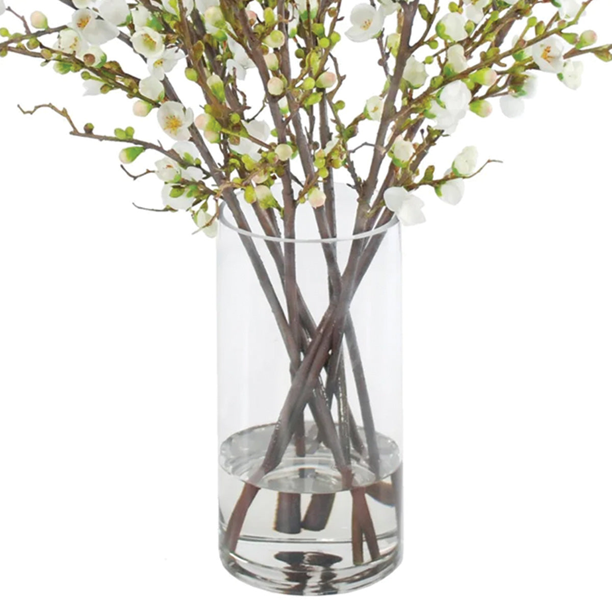 White Peach Blossoms in Vase
