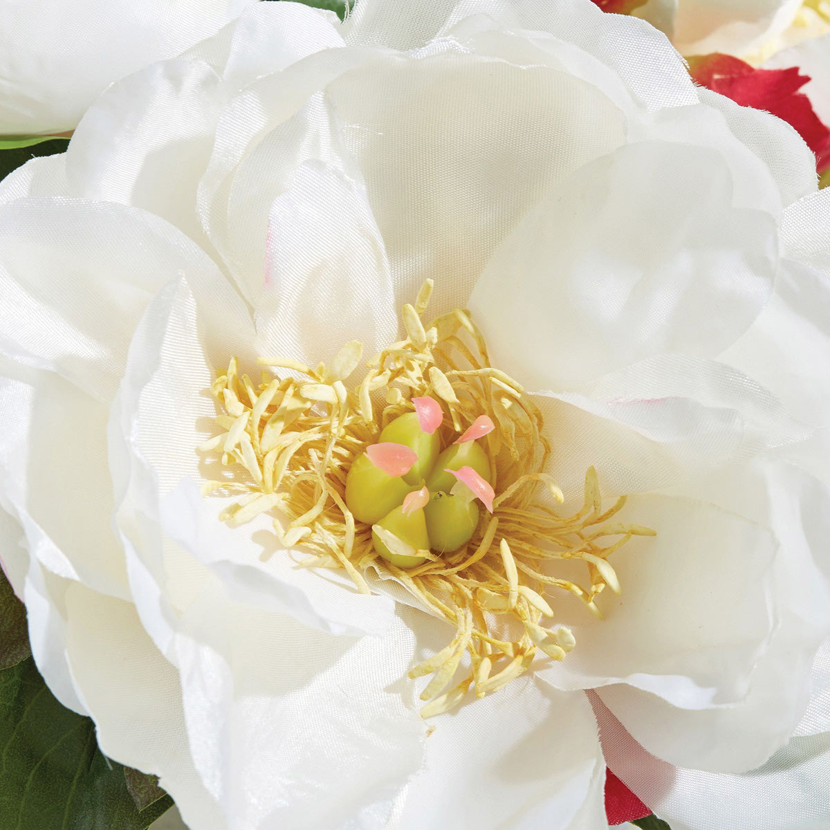 White Peonies in Glass