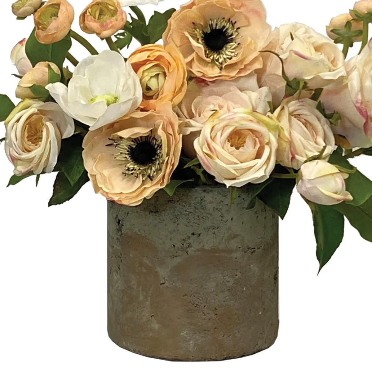 Rose Anemone in Pot