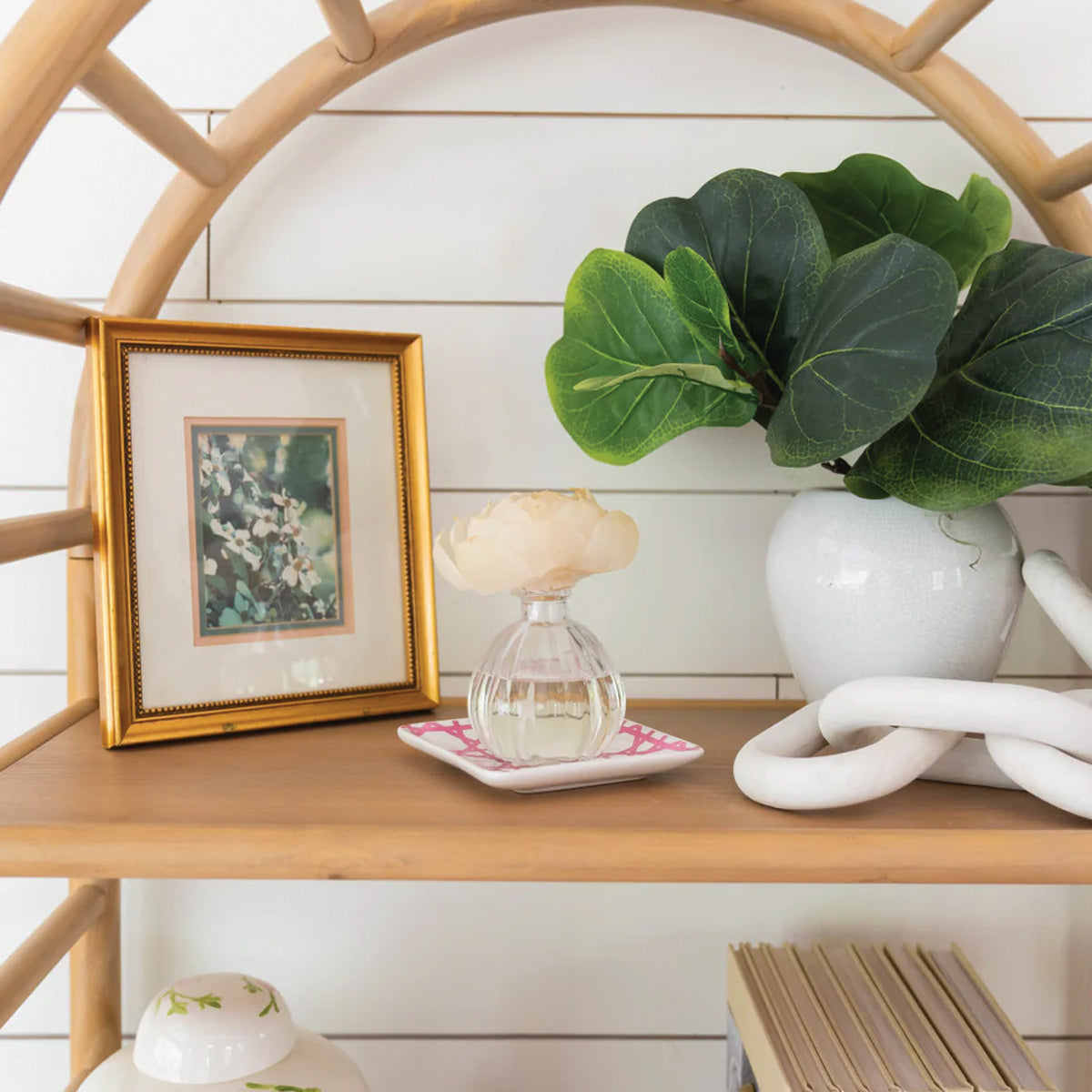 Silver Spruce Evergreen Woods Flower Diffuser