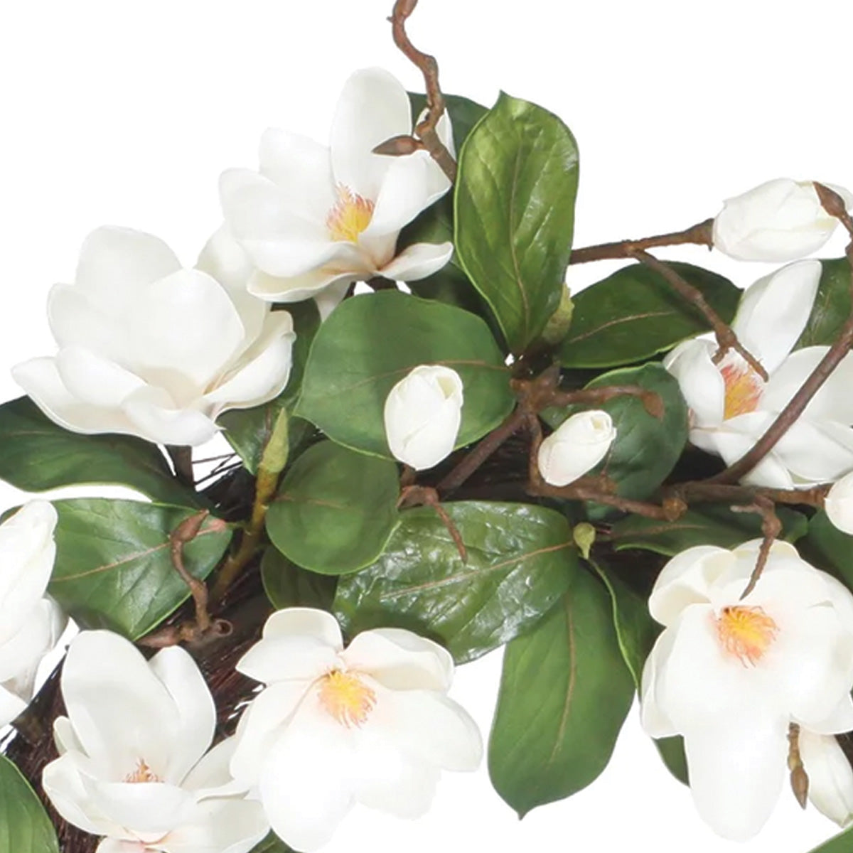 White Tree Magnolia Leaf Wreath