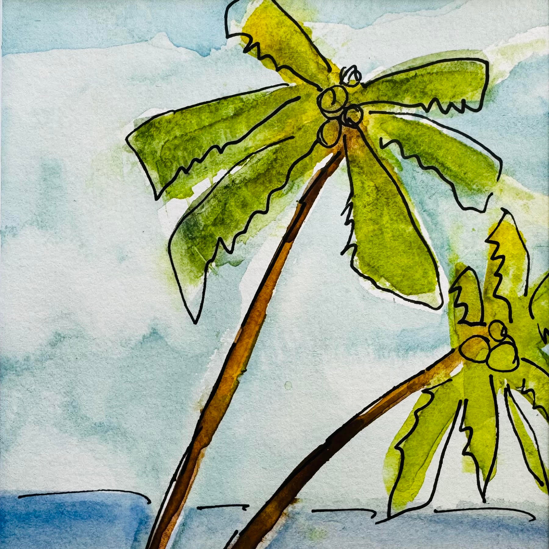 06.24.2026 @ 11AM | Coastal Palms in Watercolor: A Beginner Workshop with Lauren Arsenault