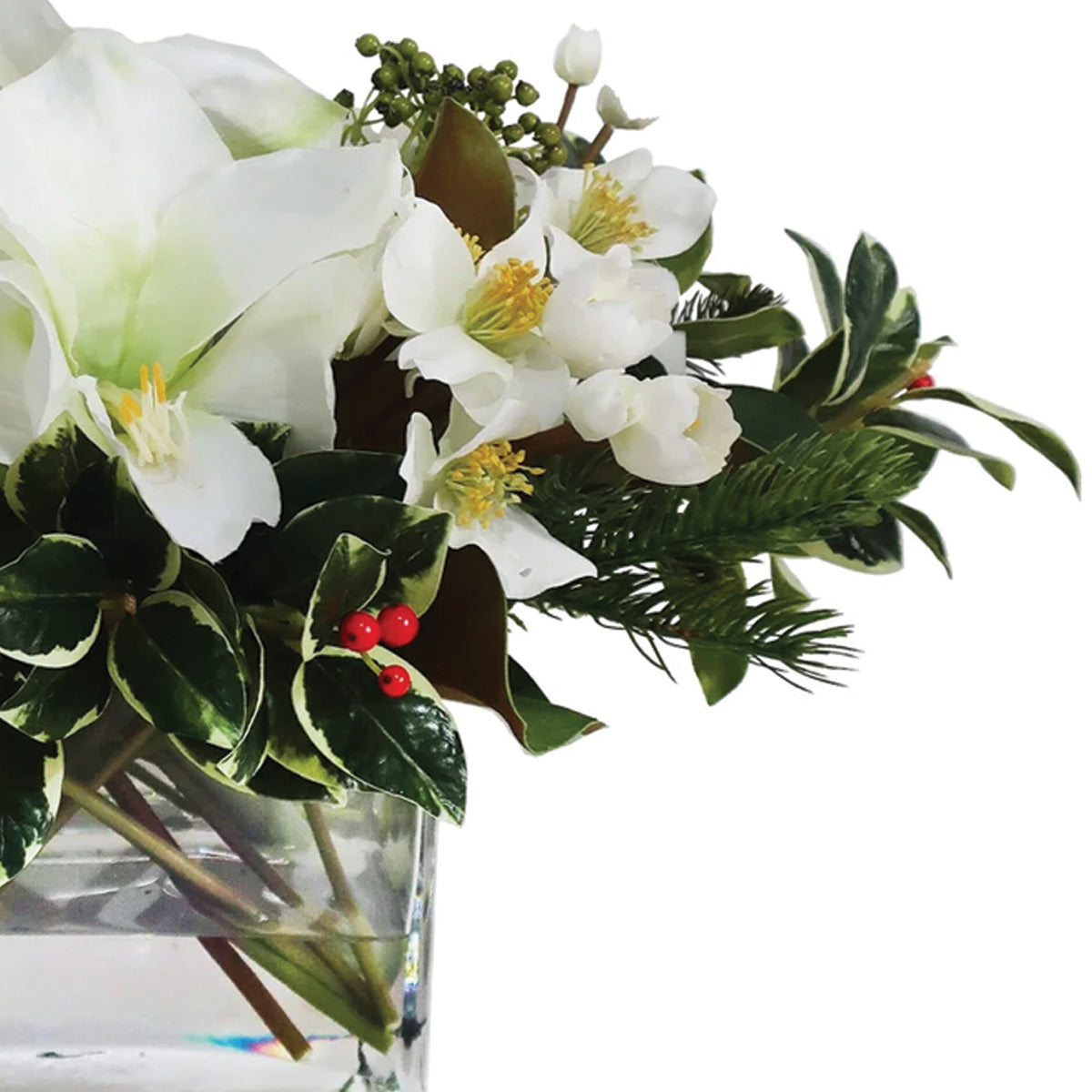 White Holiday Amaryllis and Holly in Rectangle Vase